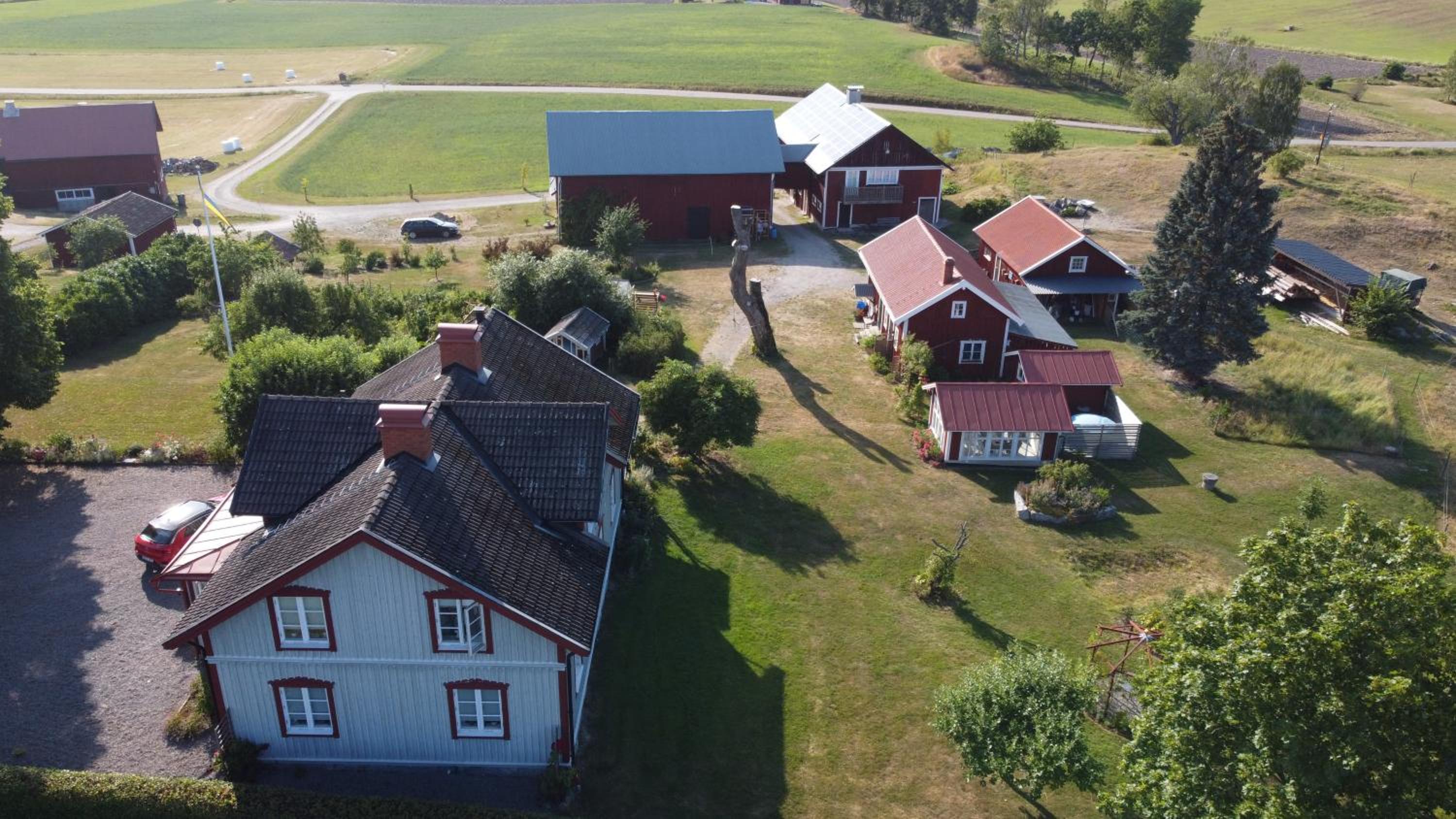Ladan view 5