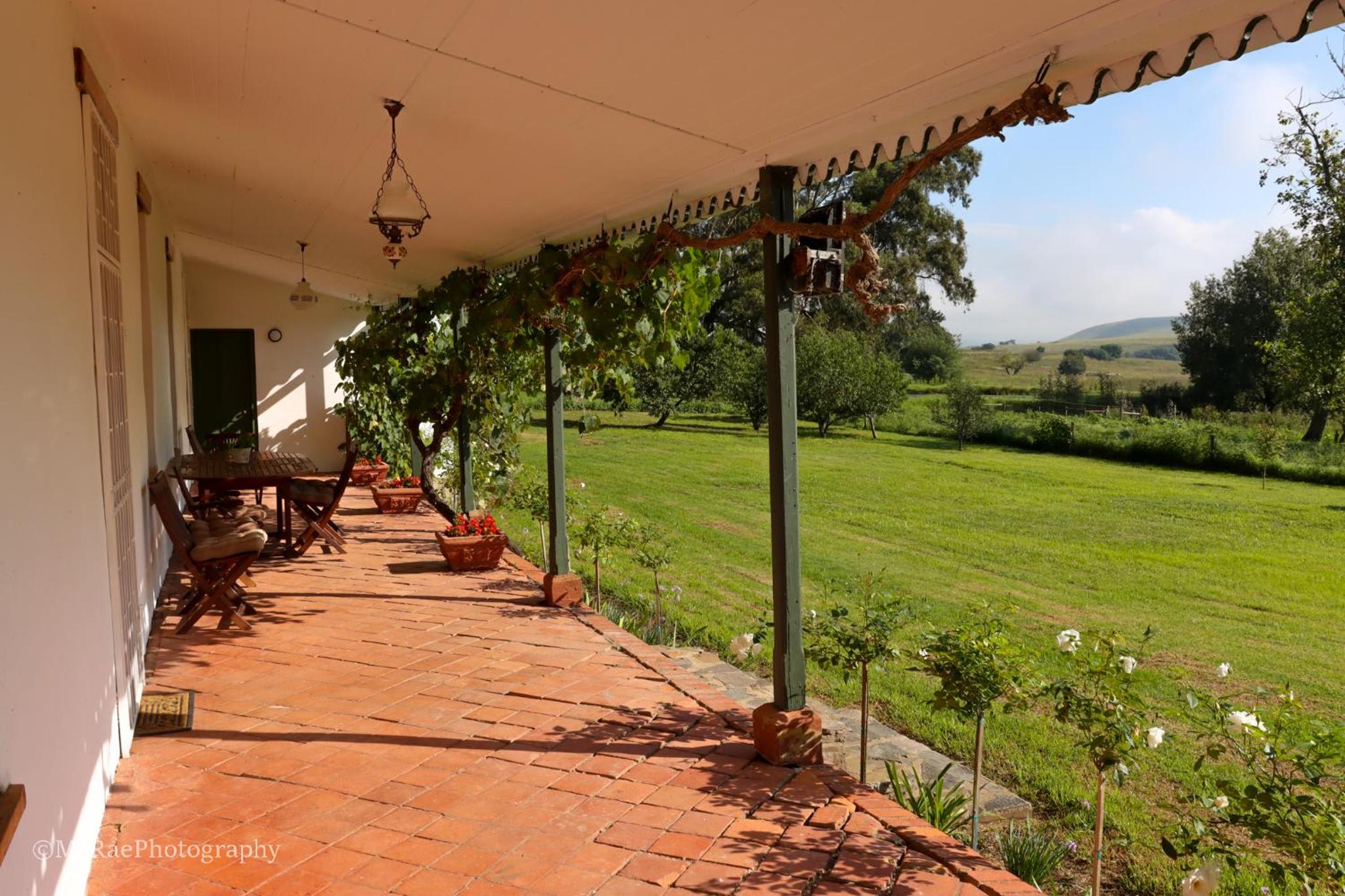 Milky Lane Cottage view 4