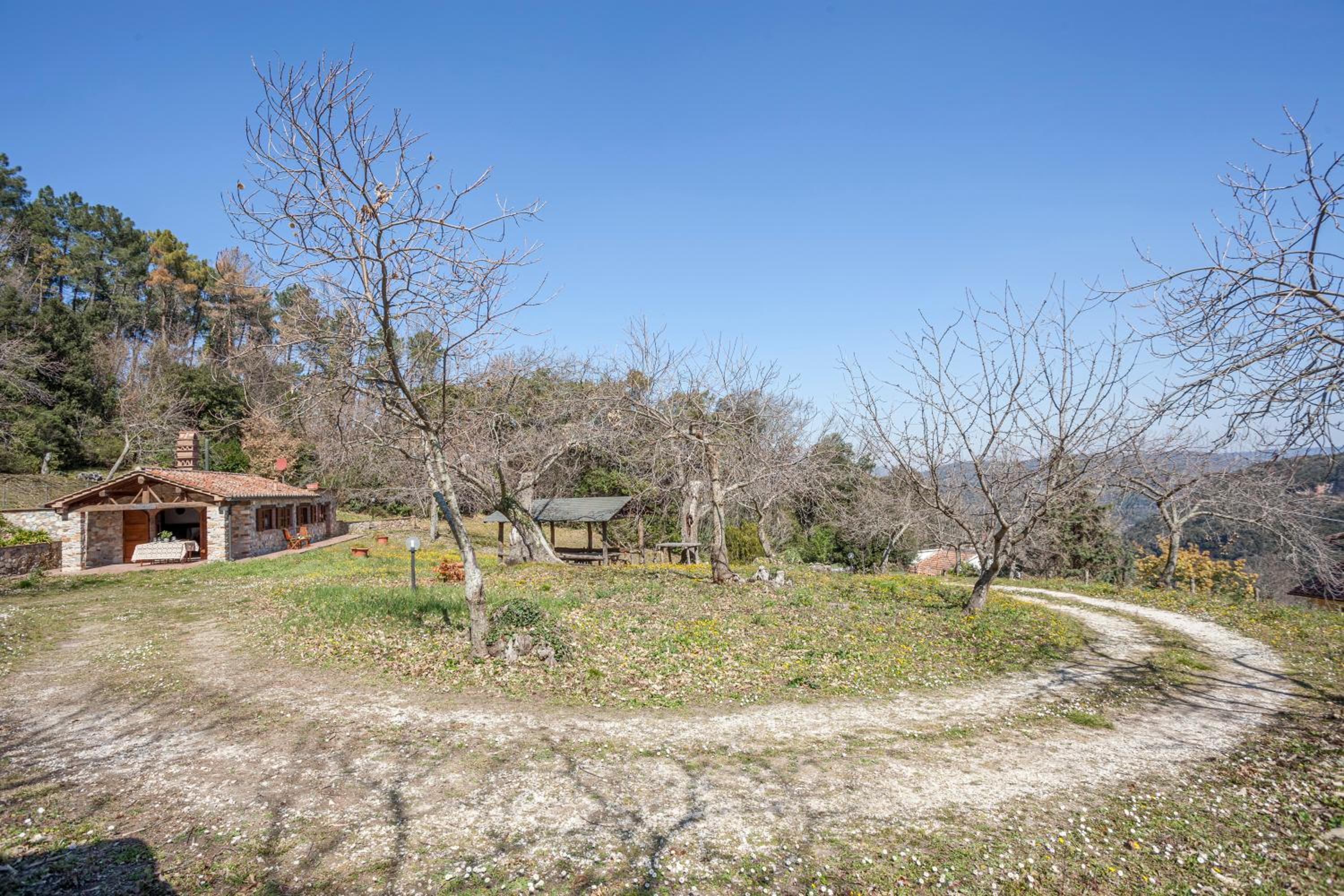 Casa nel Bosco view 3
