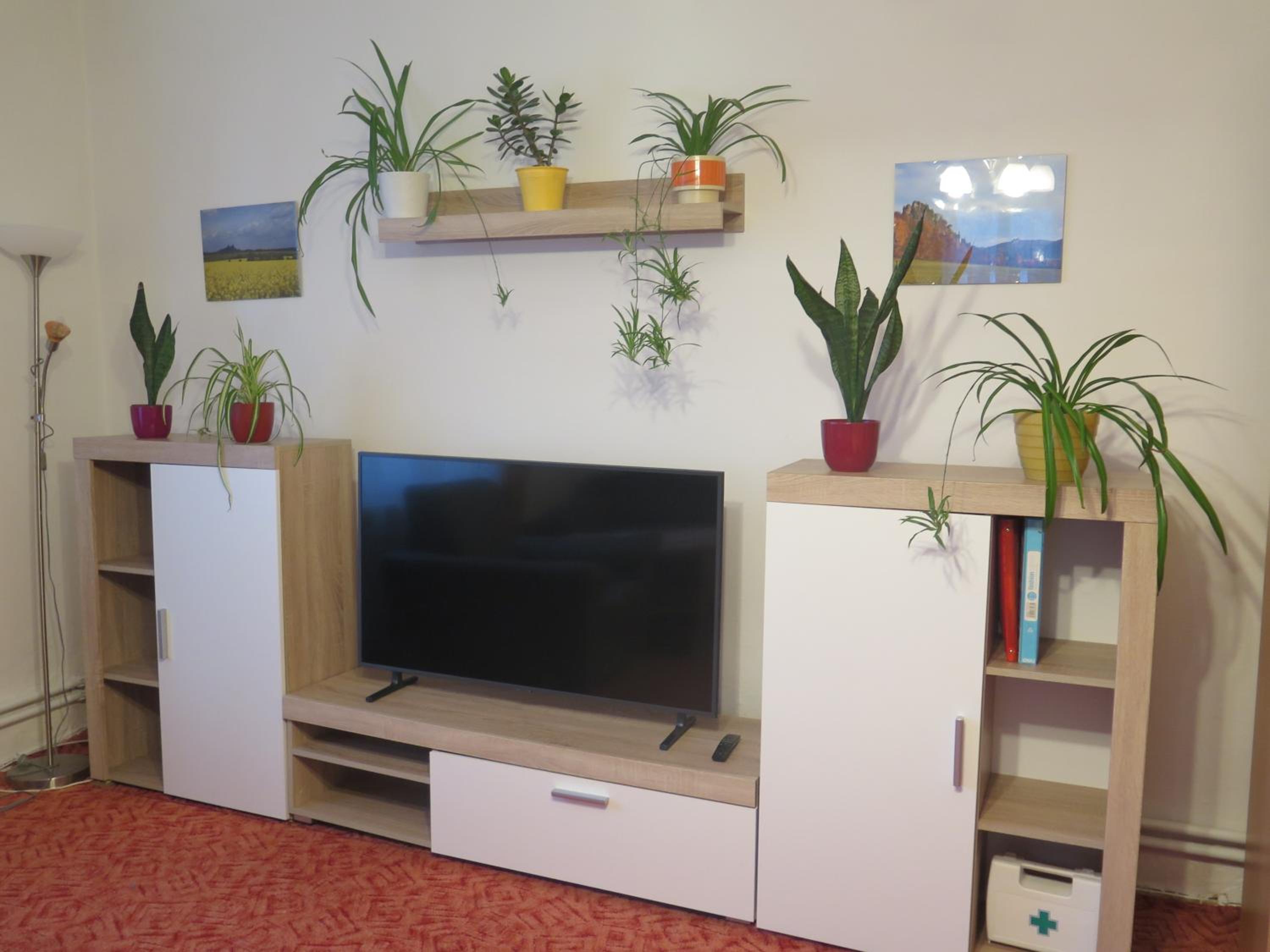 Apartman Hruba Skala view 3