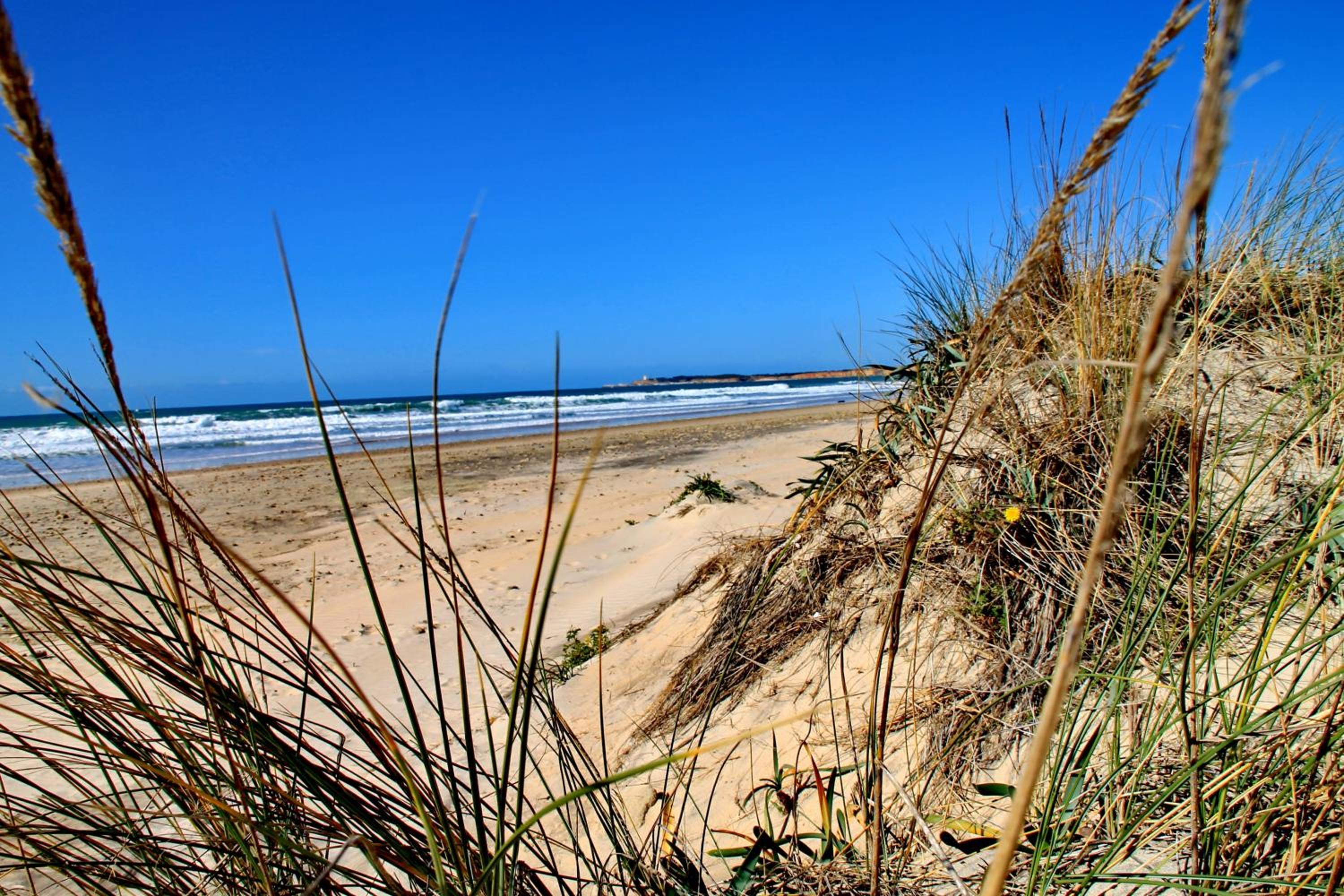 Apartamento Centro Tonelero II