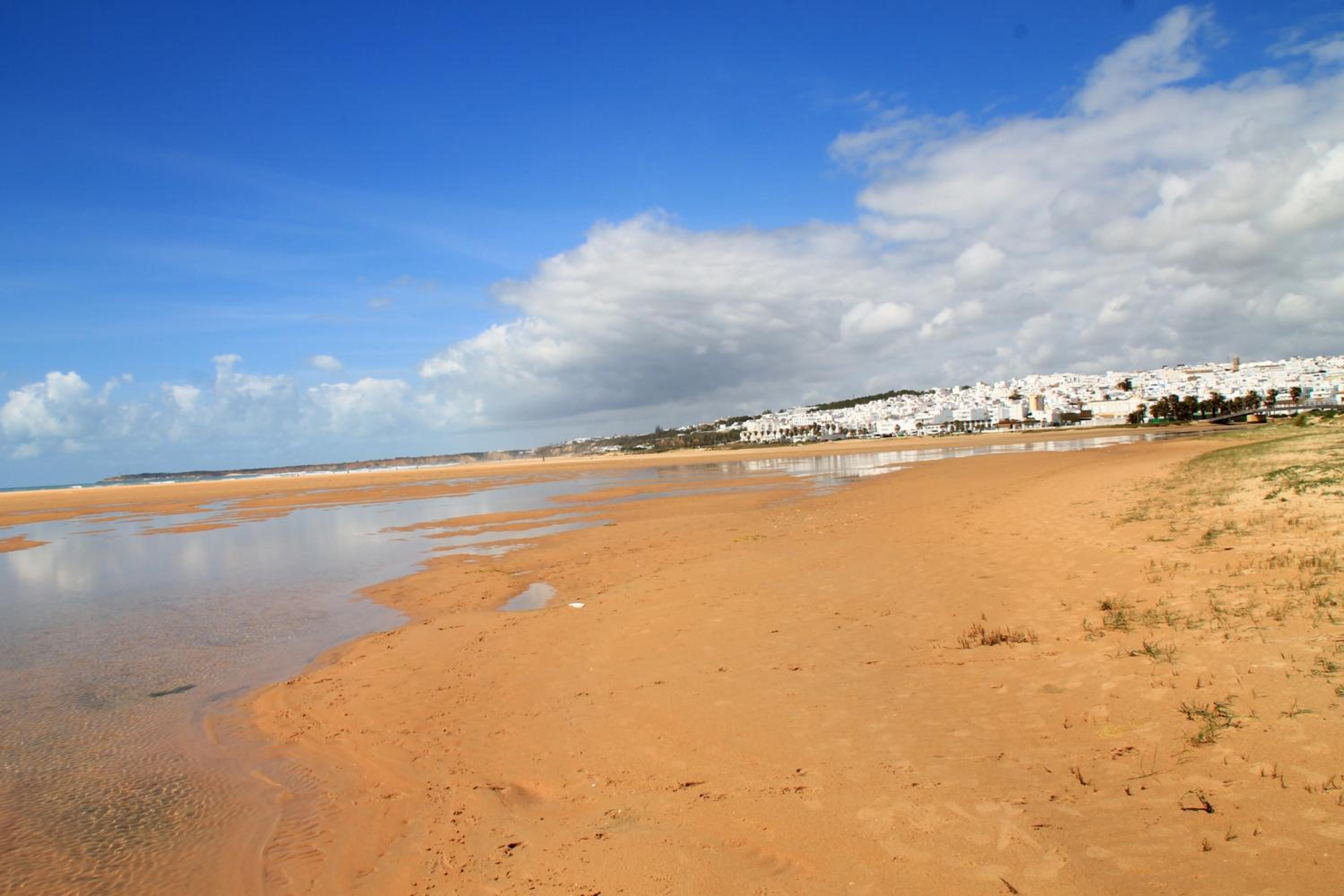 Apartamento Centro Tonelero II