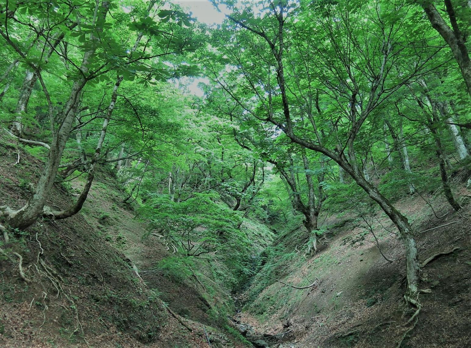 Photo 17
