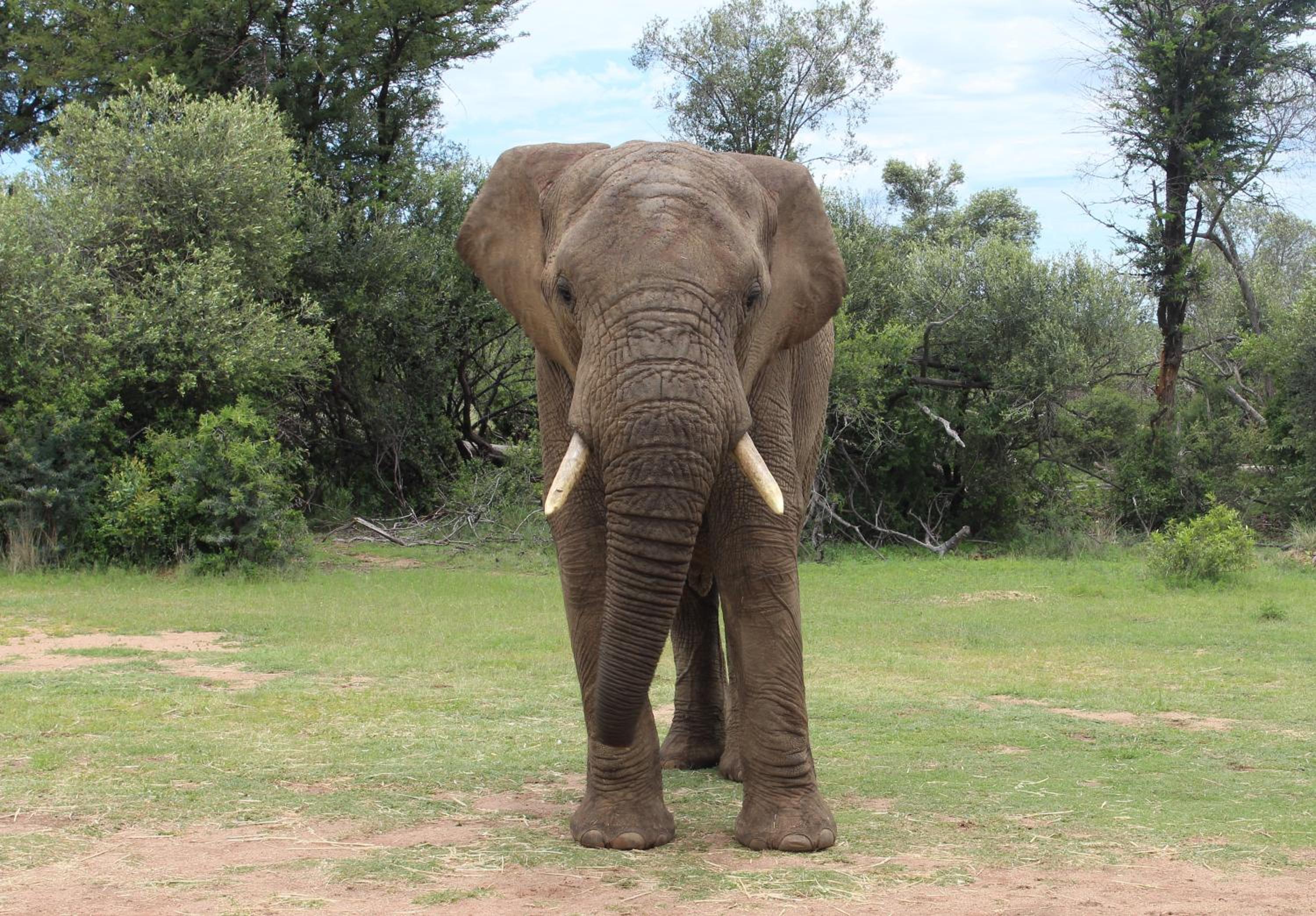 Tamboti Bush Lodge view 2