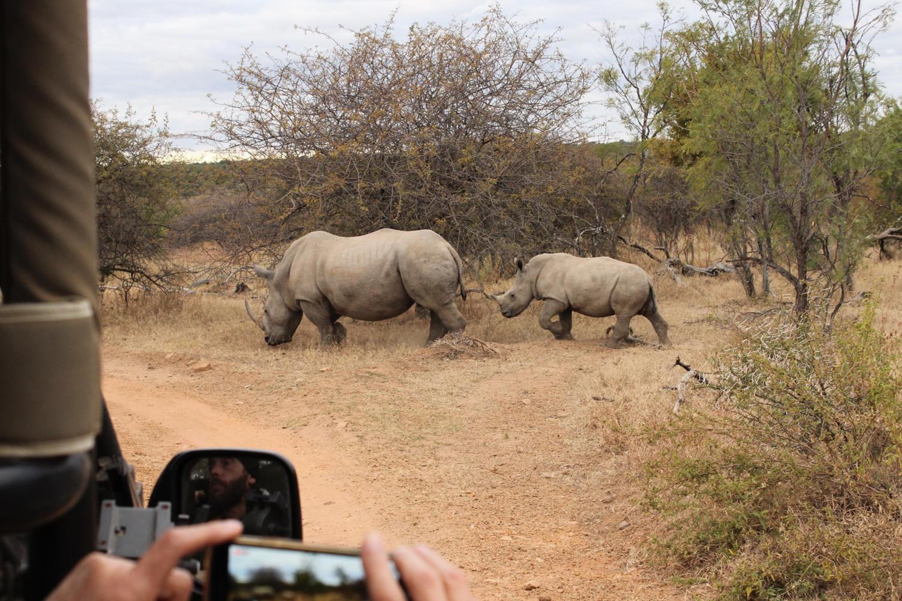 Tamboti Bush Lodge view 3