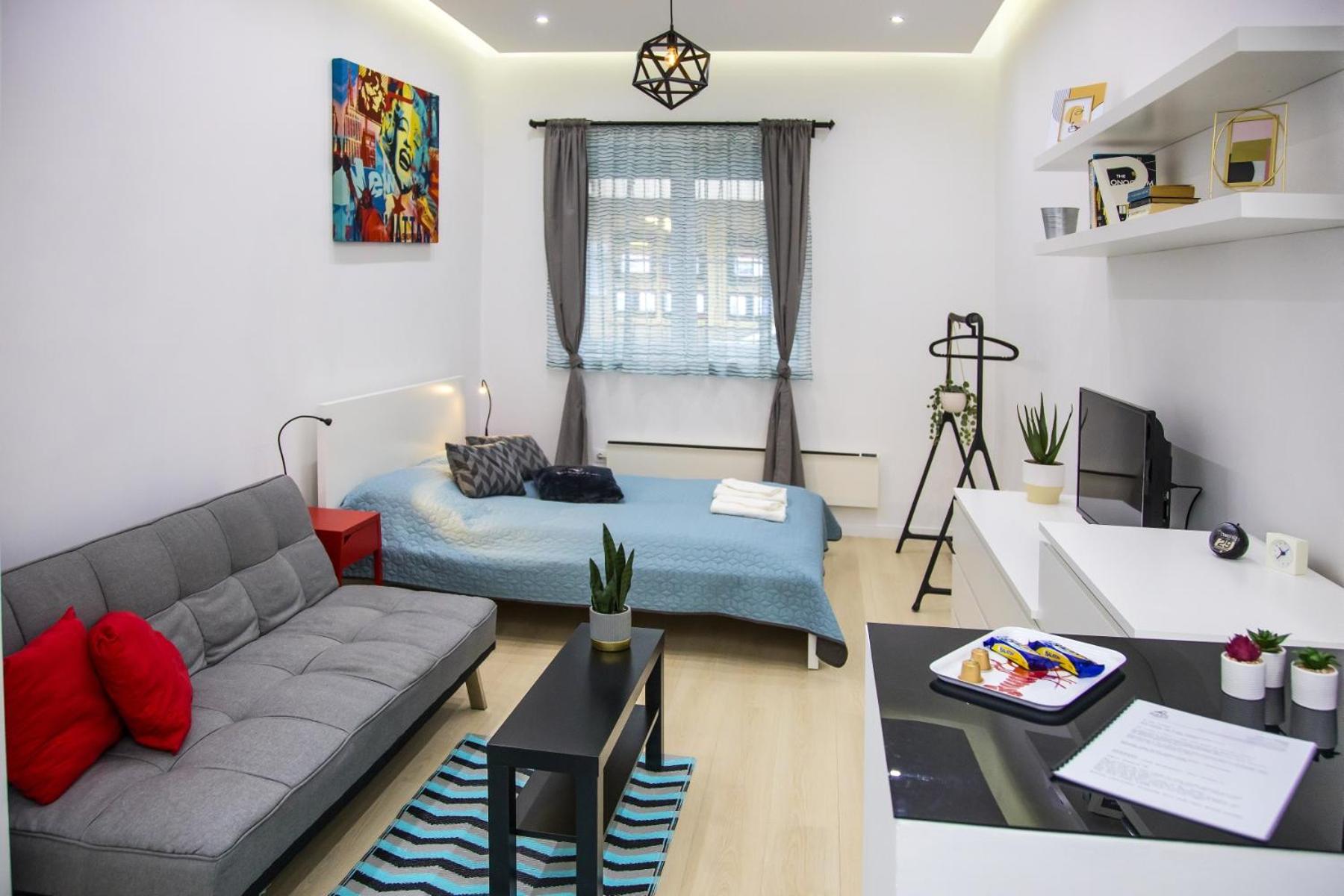 OAZU downtown flat view 3