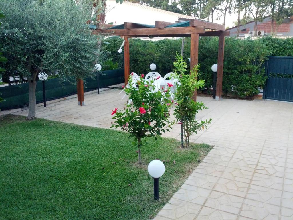 Photo 12