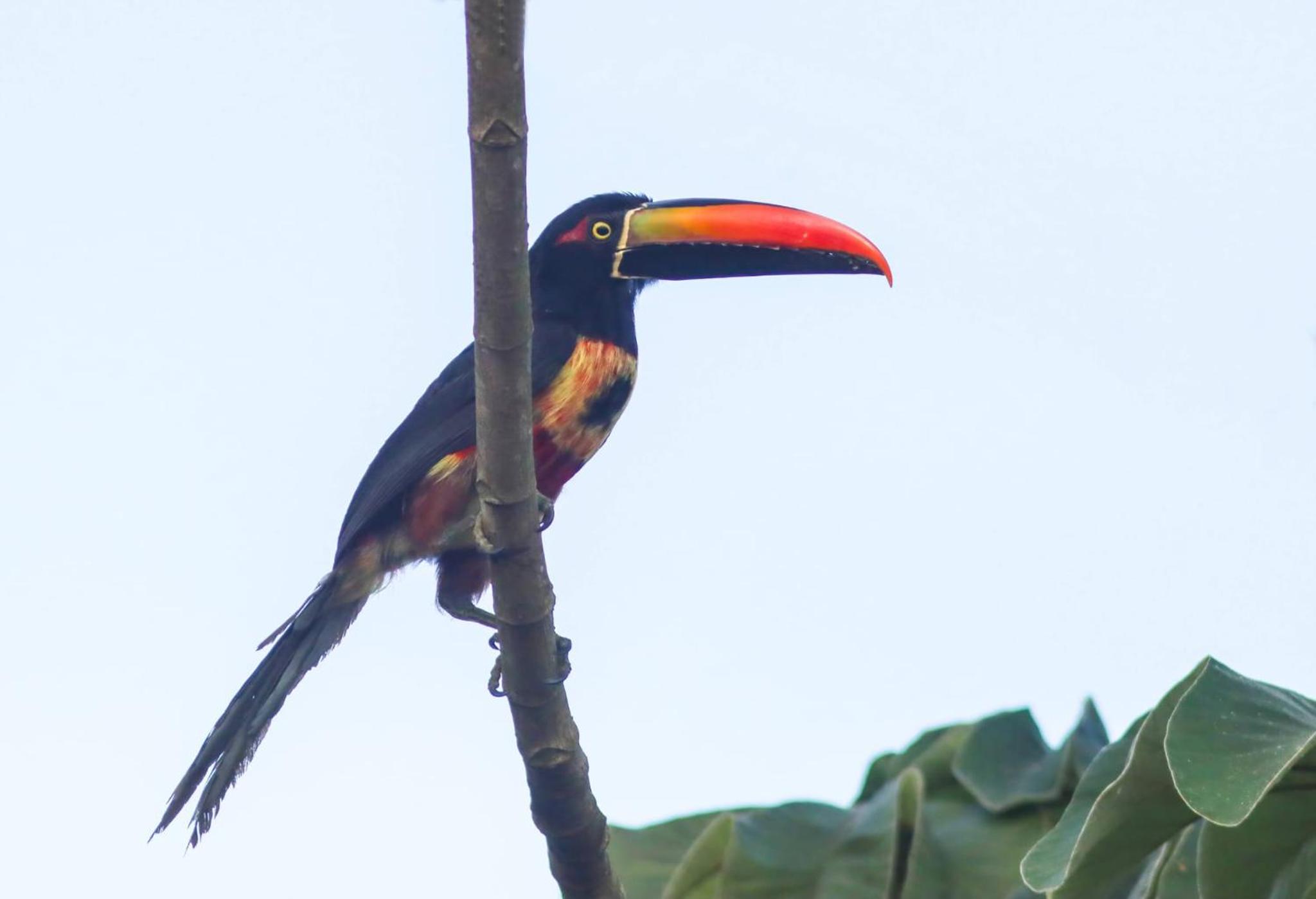 Casa Victoria Alojamiento