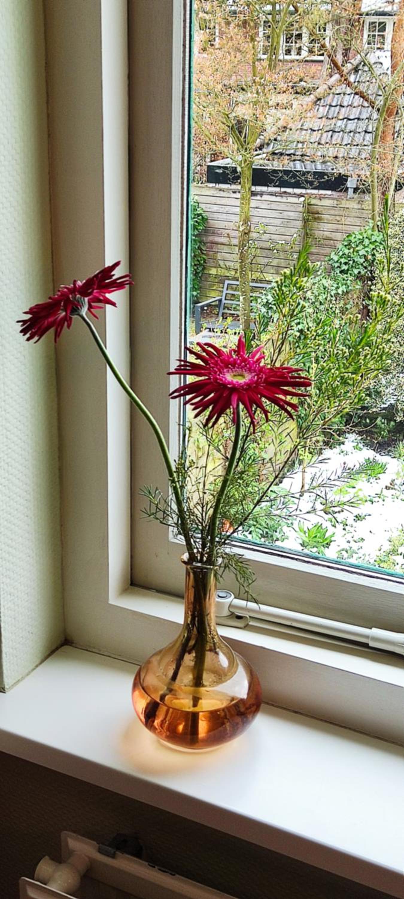 Overbosch - Property Image 13