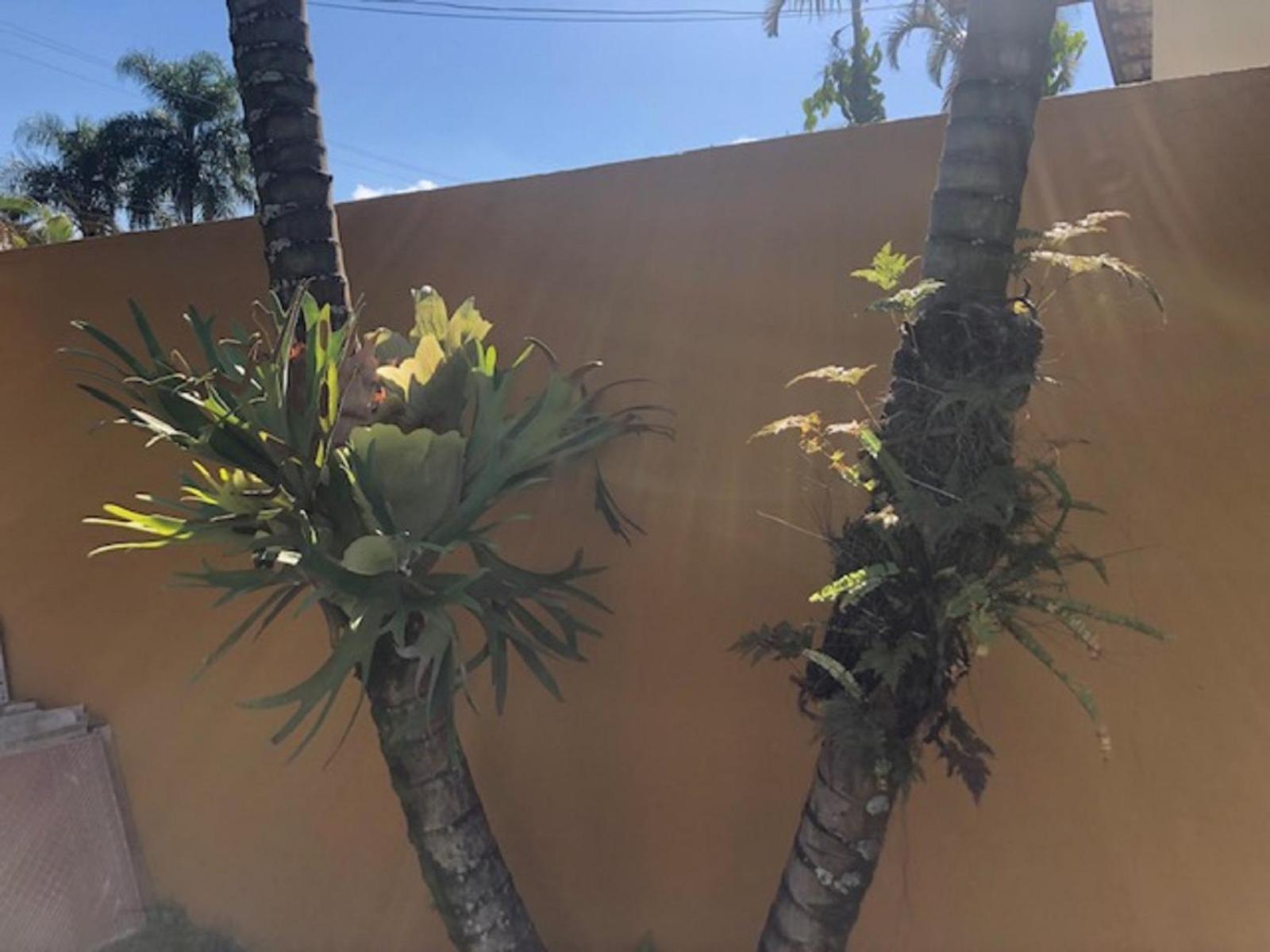 Casa pé na areia - 50 mts do mar