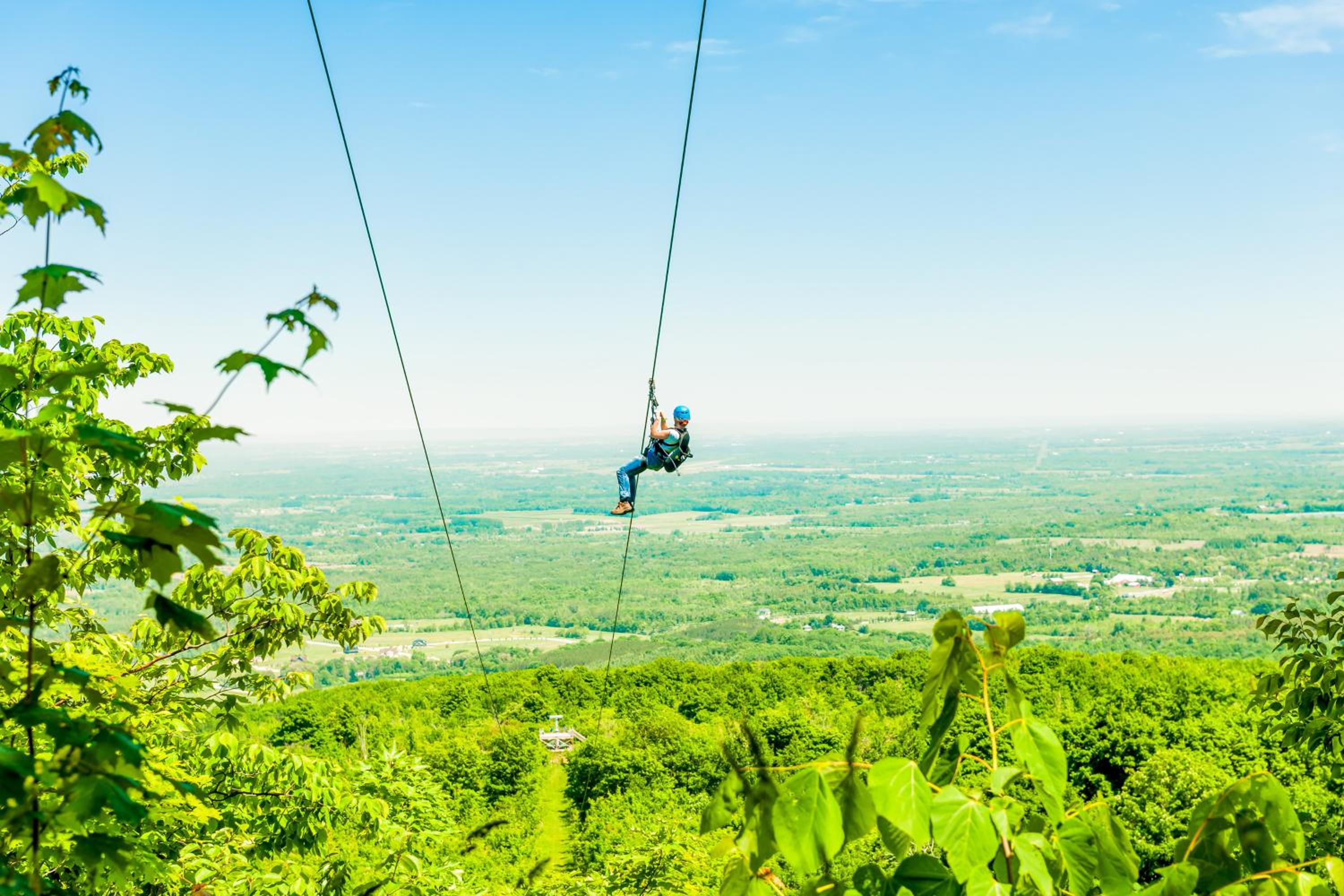 Wintergreen 119