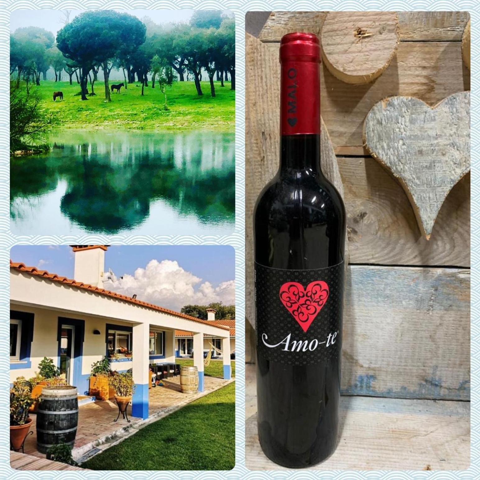 Photo 85