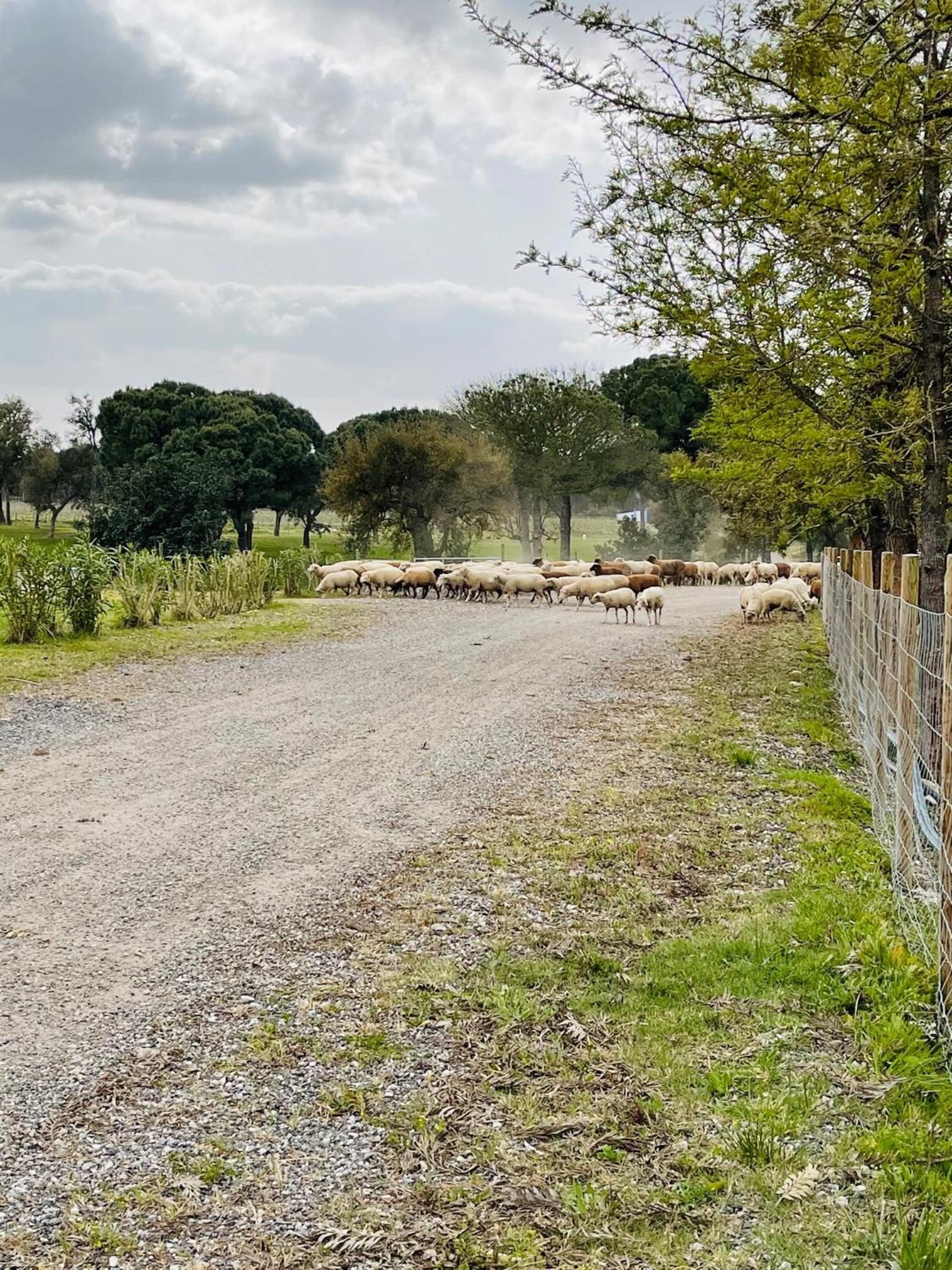 Photo 44