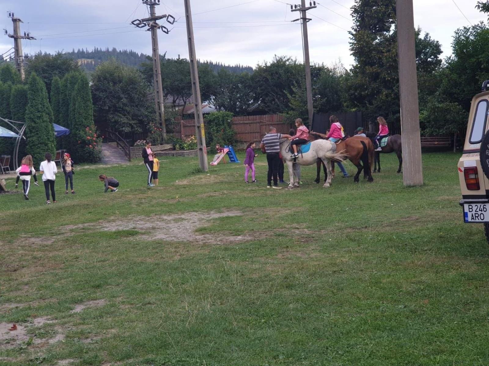 Photo 47