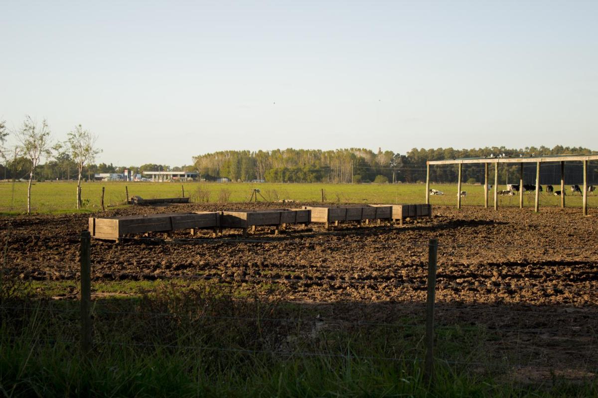 Casa Mansa Puro Campo