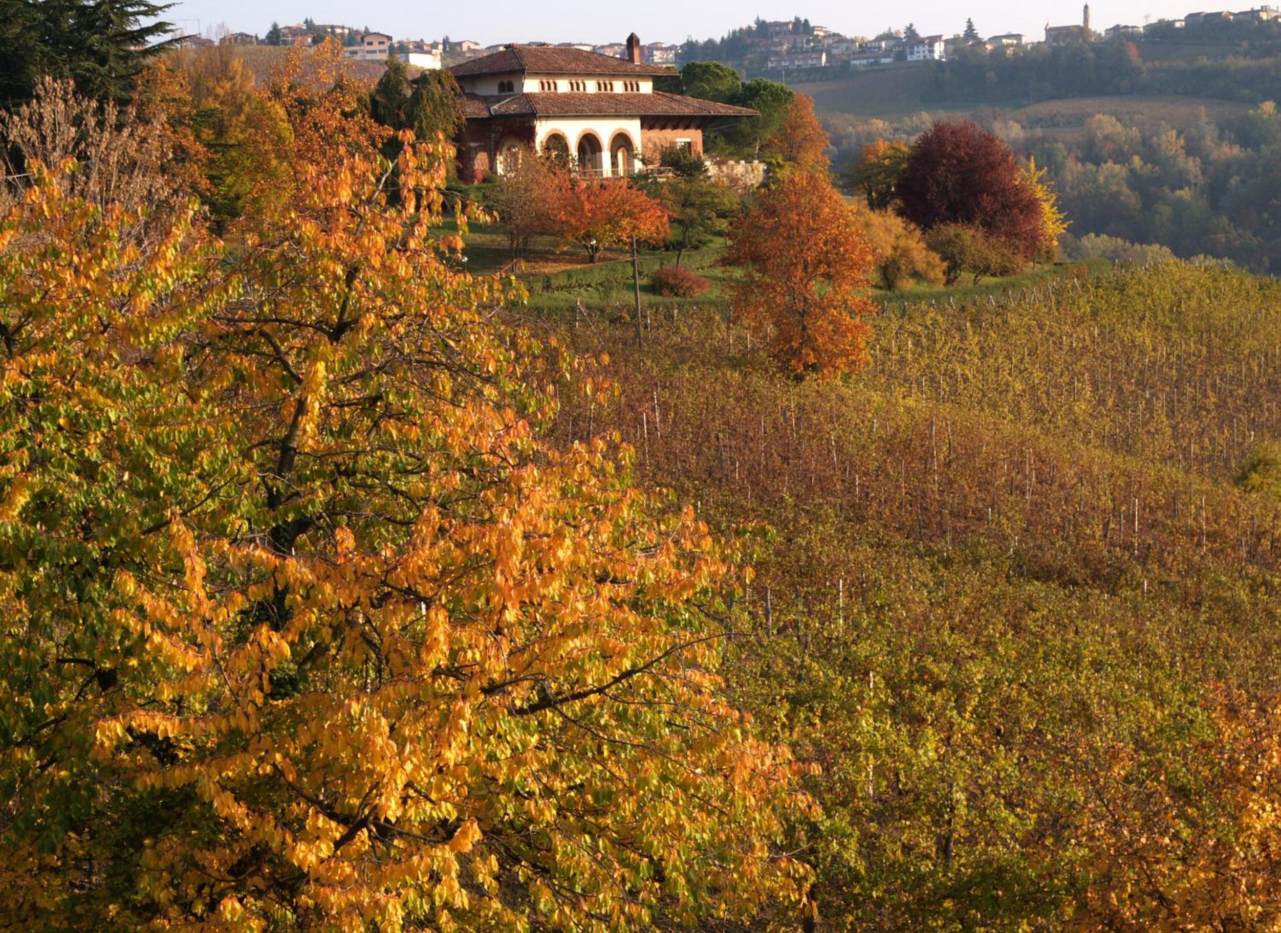 Villa San Domenico a Barbaresco view 3