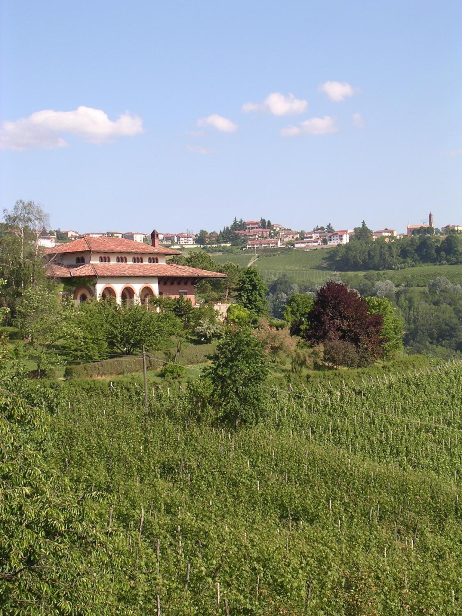 Villa San Domenico a Barbaresco view 4