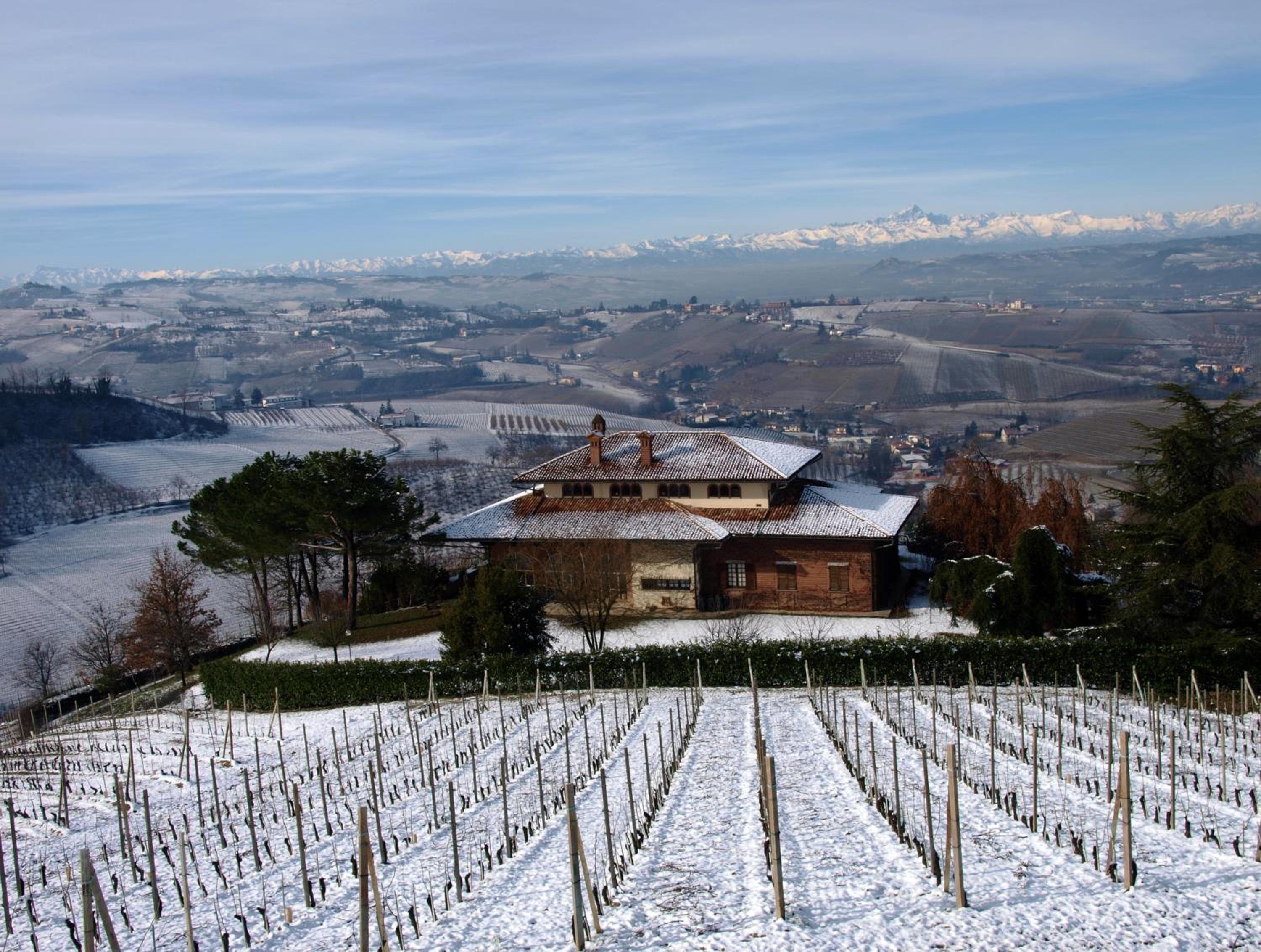 Villa San Domenico a Barbaresco view 5