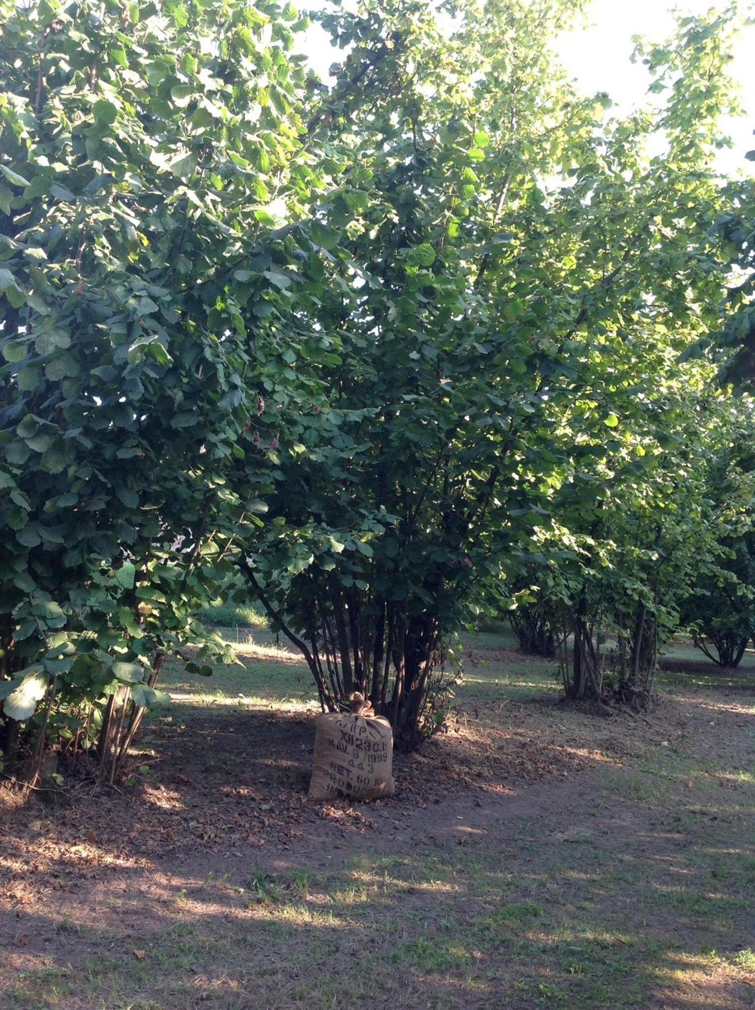 Photo 59