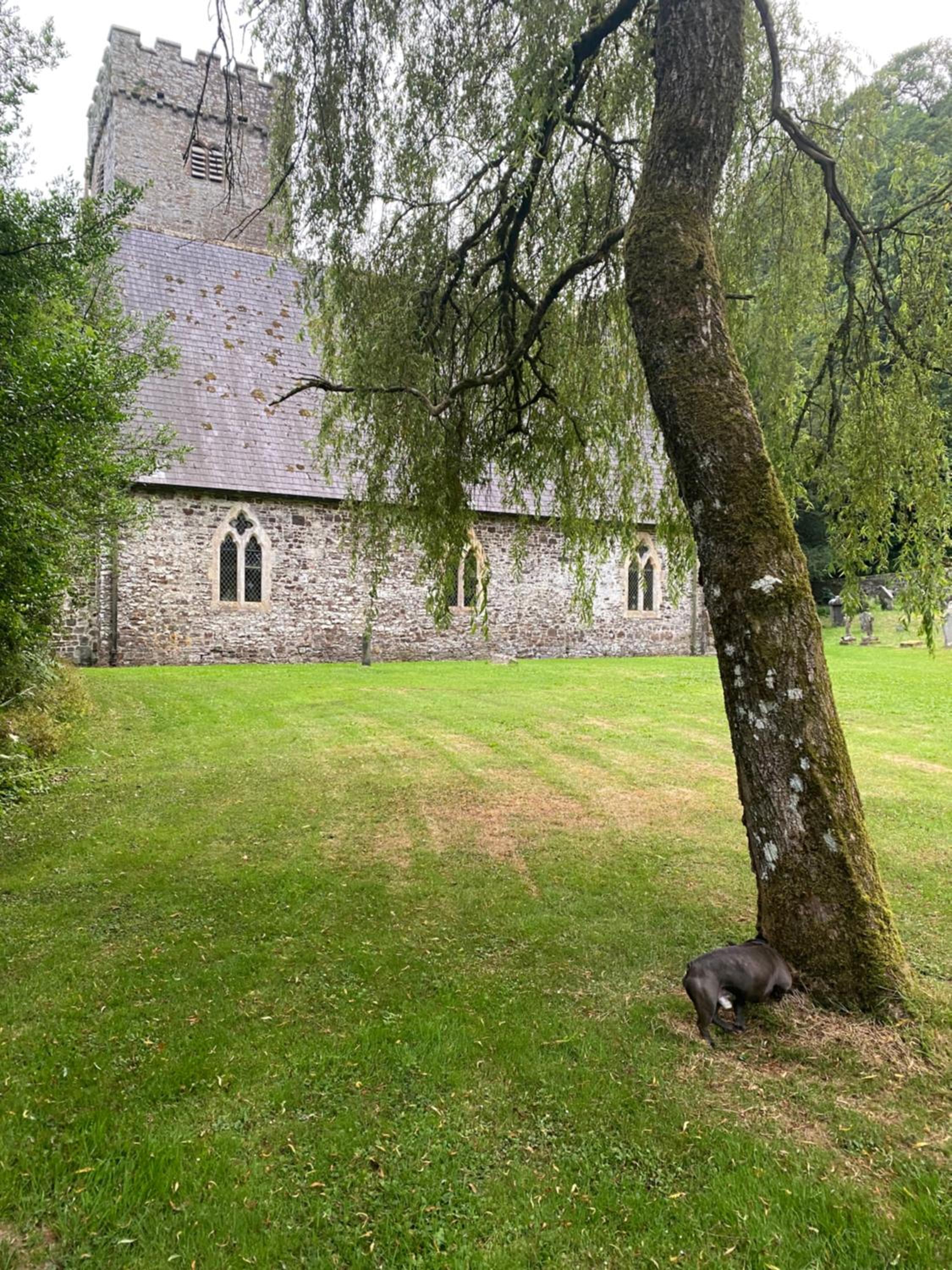 Photo 15