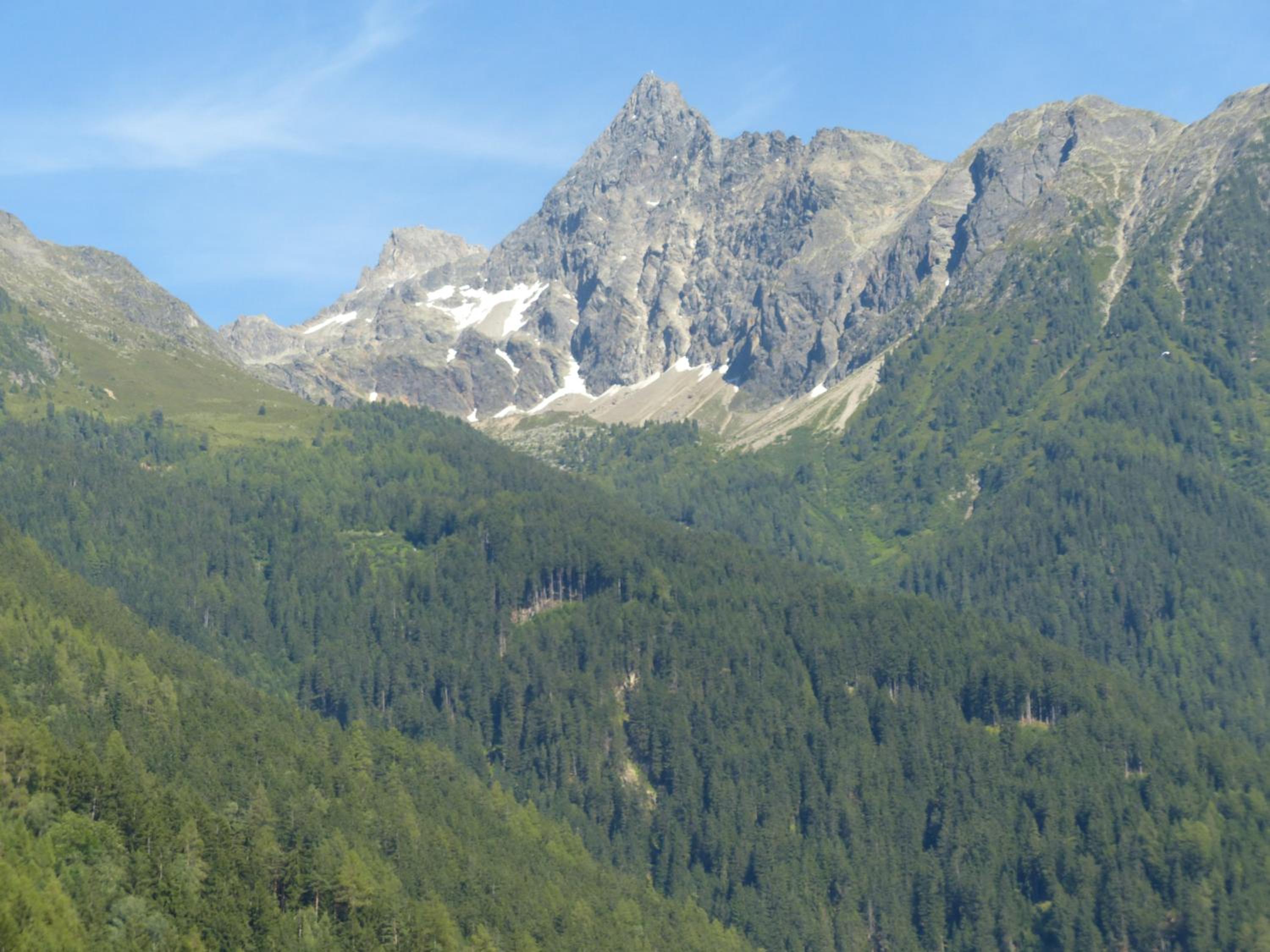 Photo 25