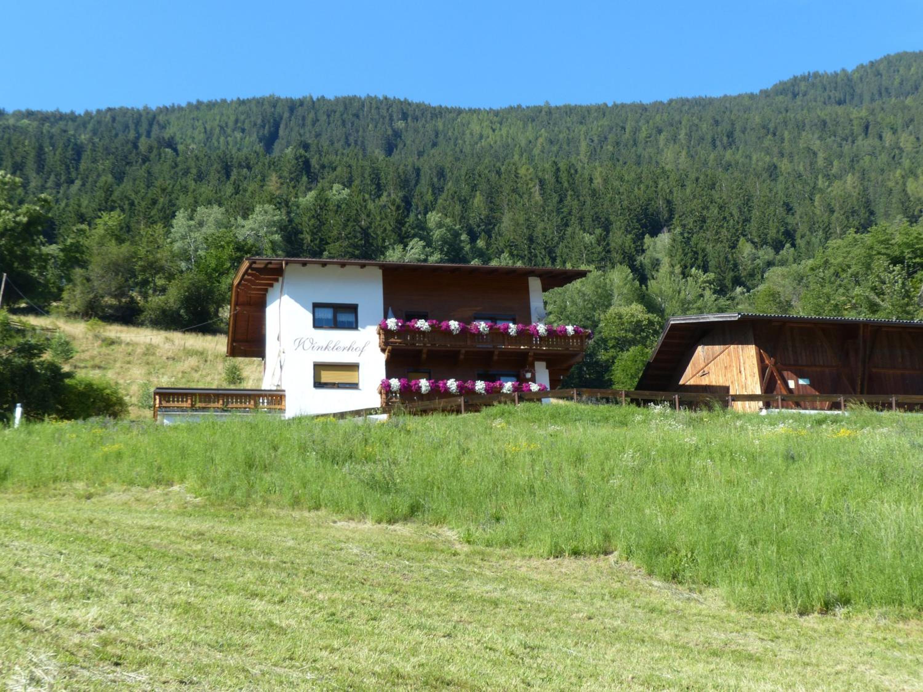 Photo 22