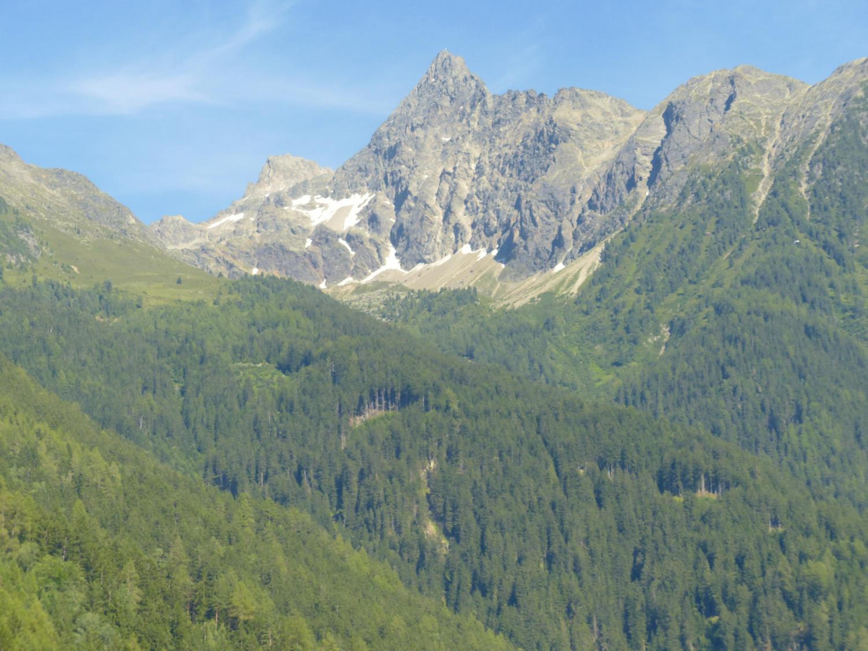 Photo 32