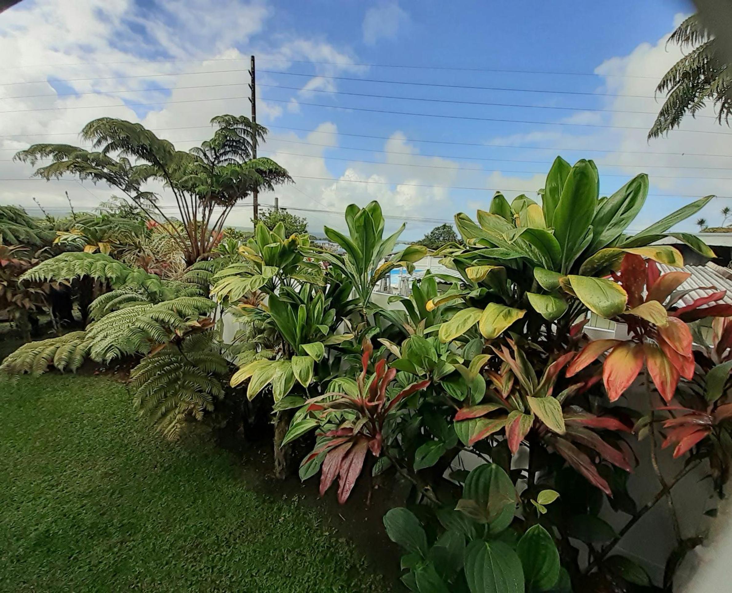 Maui Vacations - Paradise Cottage at Anthurium Hale - Property Image 4