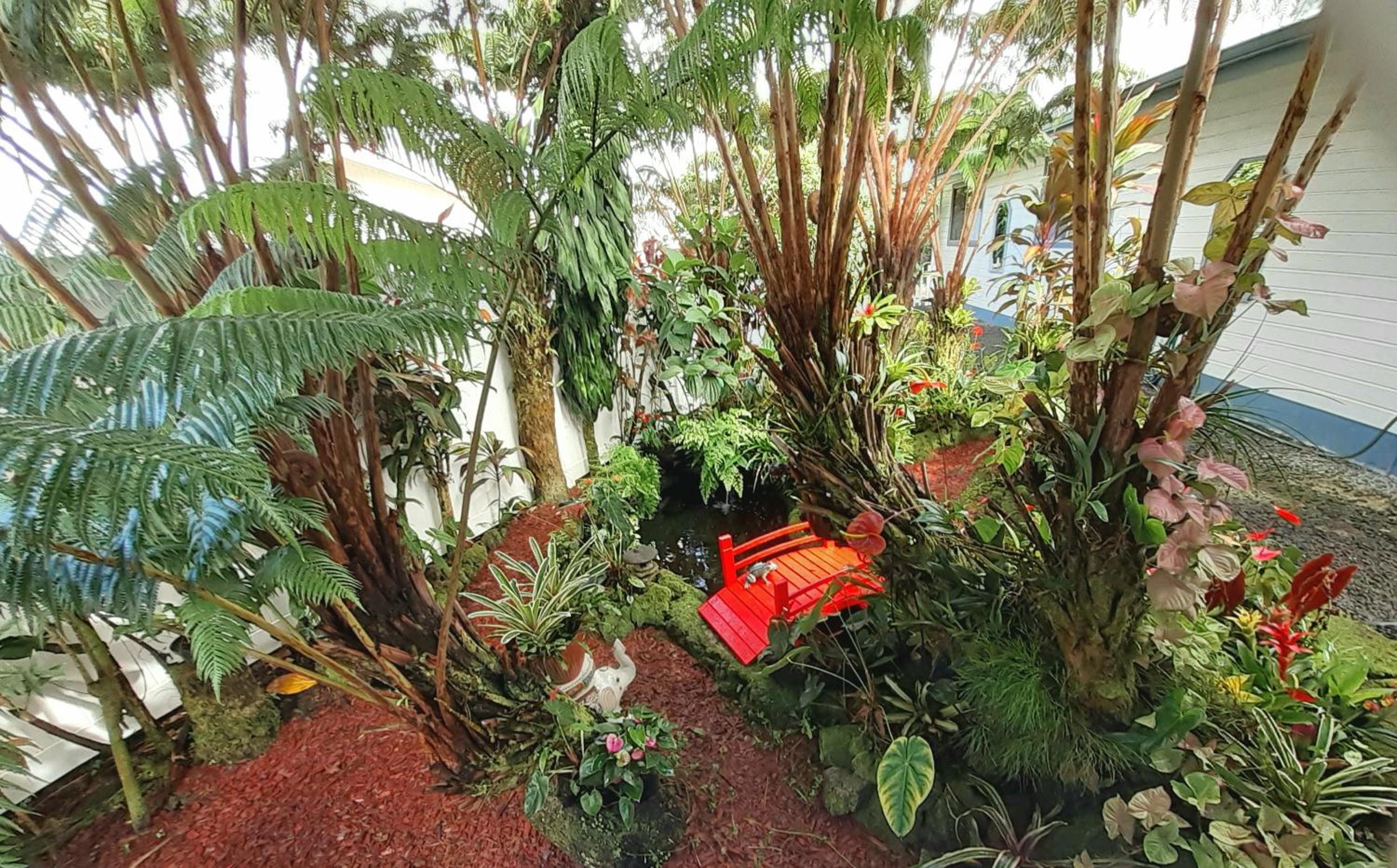 Paradise Cottage at Anthurium Hale - Property Image 3
