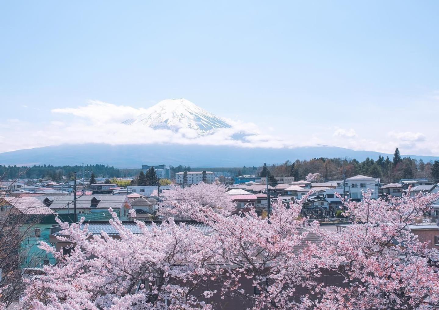Megu Fuji 2021 3