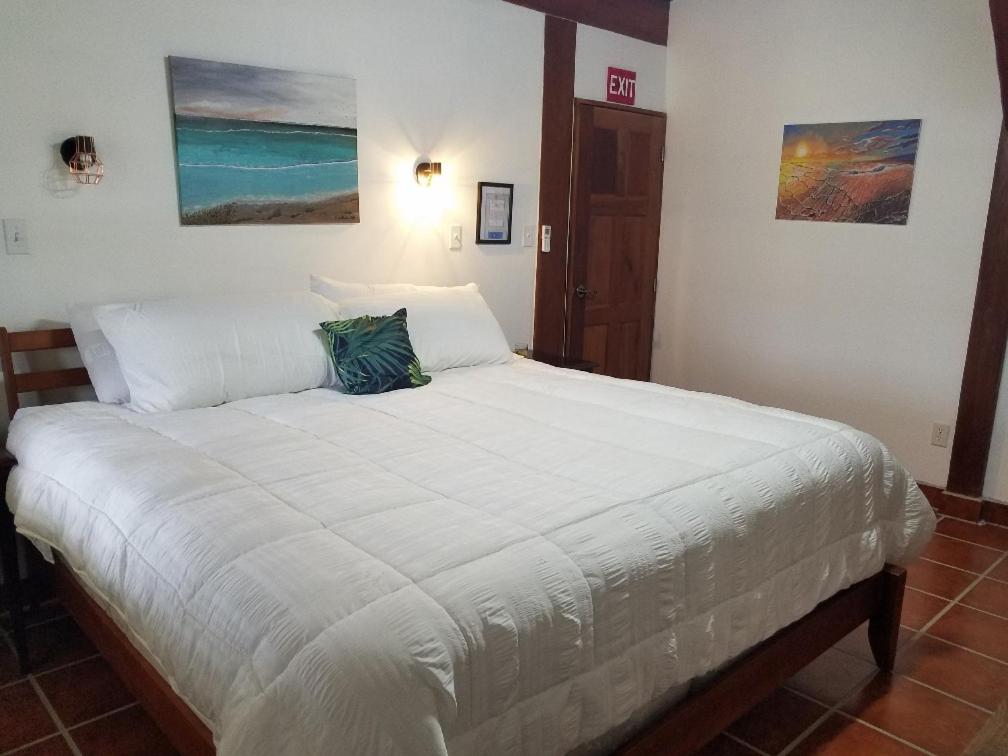 The BNB on Triggerfish Close to the airport view 3