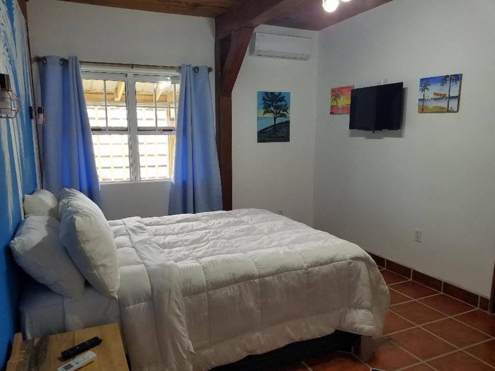 The BNB on Triggerfish Close to the airport view 4
