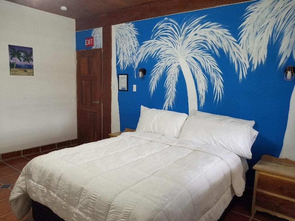 The BNB on Triggerfish Close to the airport view 5