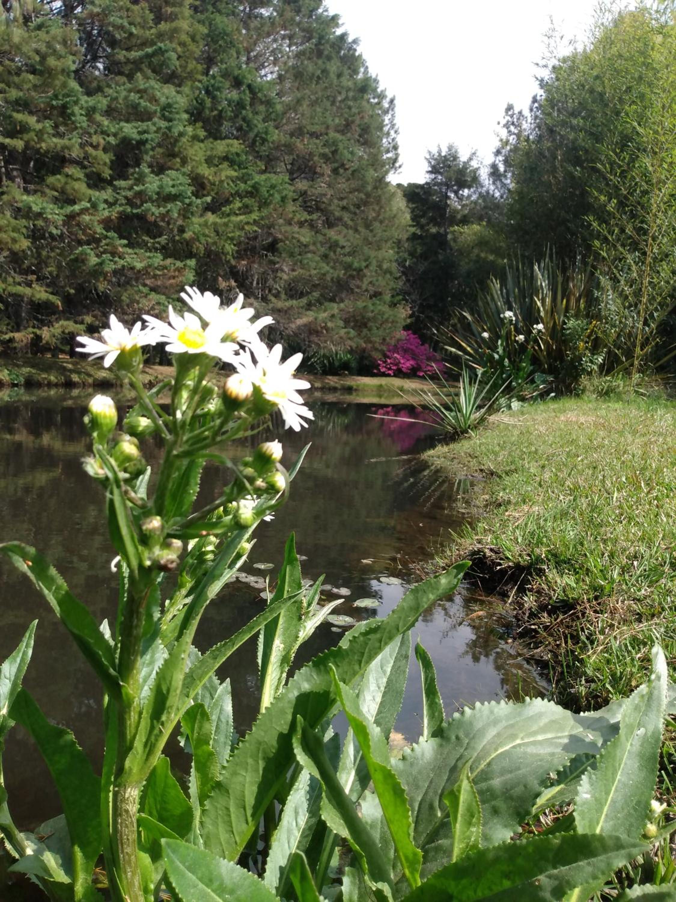 Recanto na Montanha de Gramado