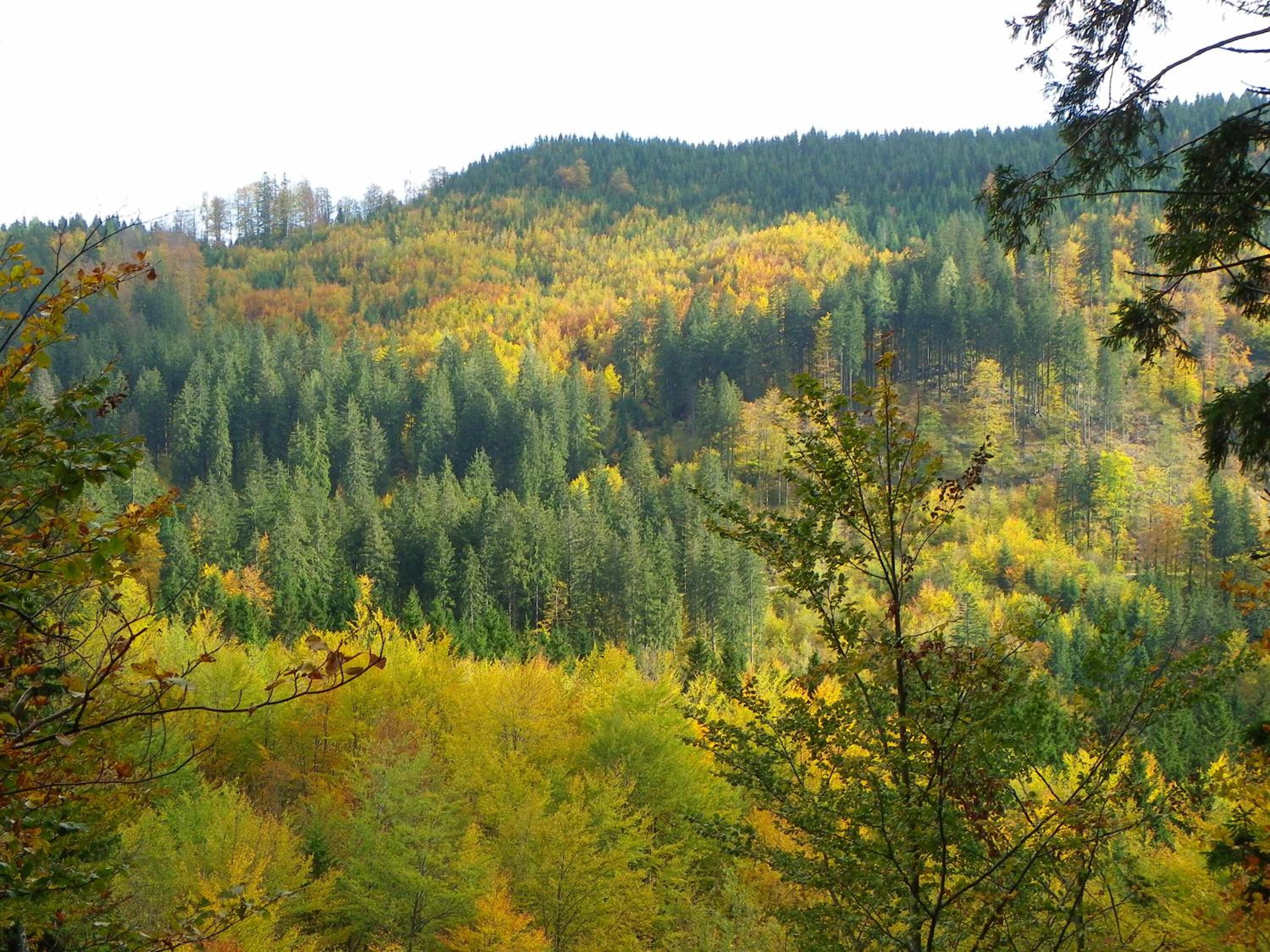 Triglav Park House view 3