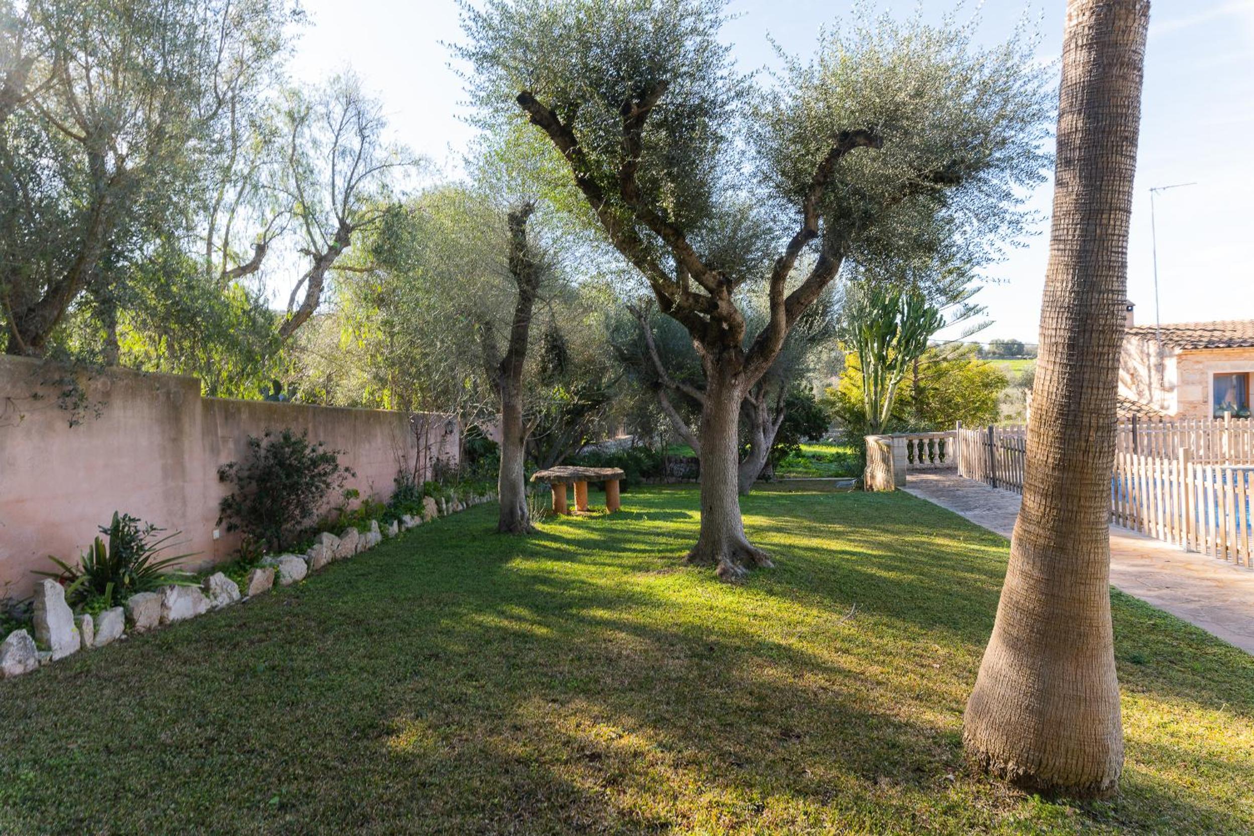 Finca Cavea
