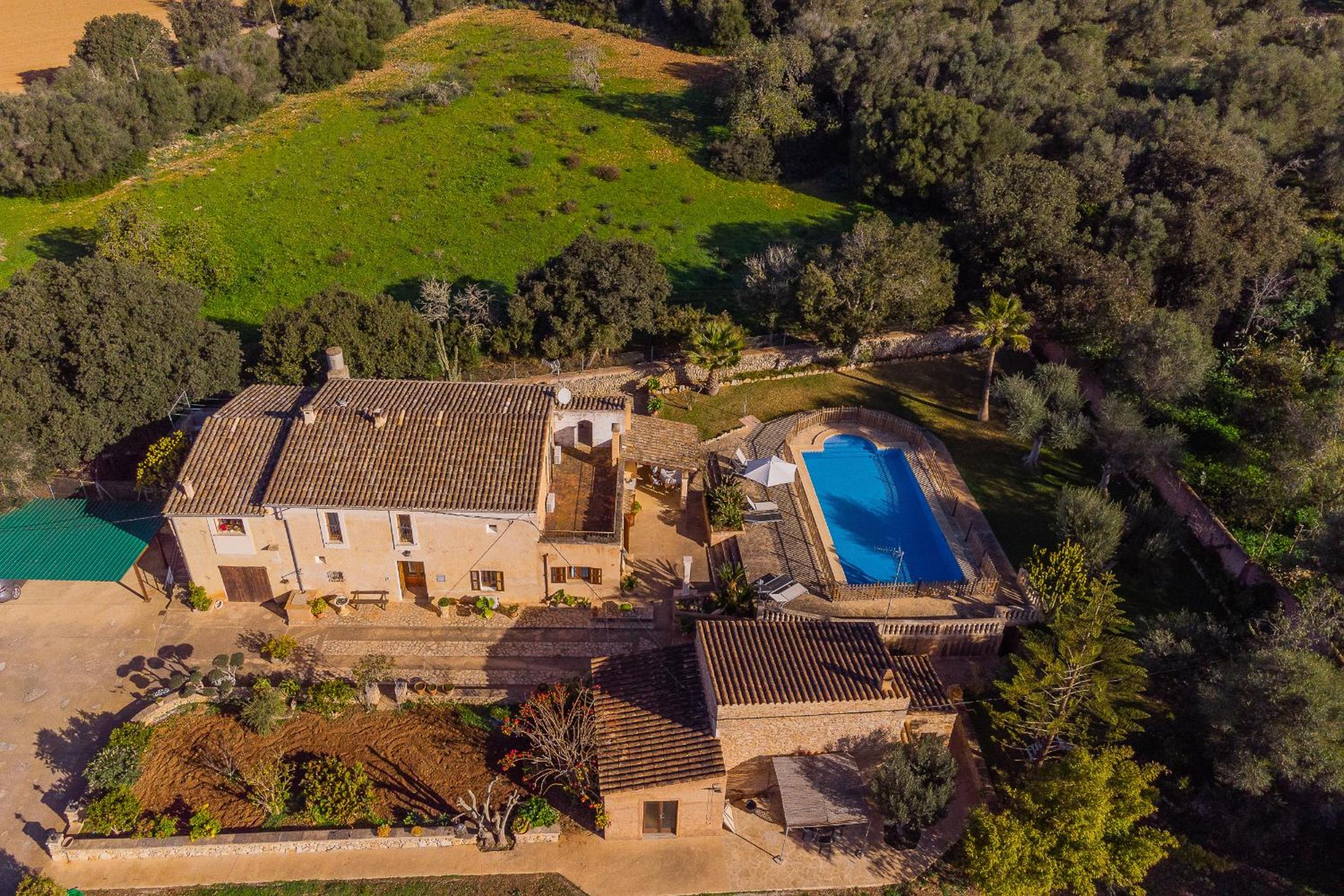 Finca Cavea