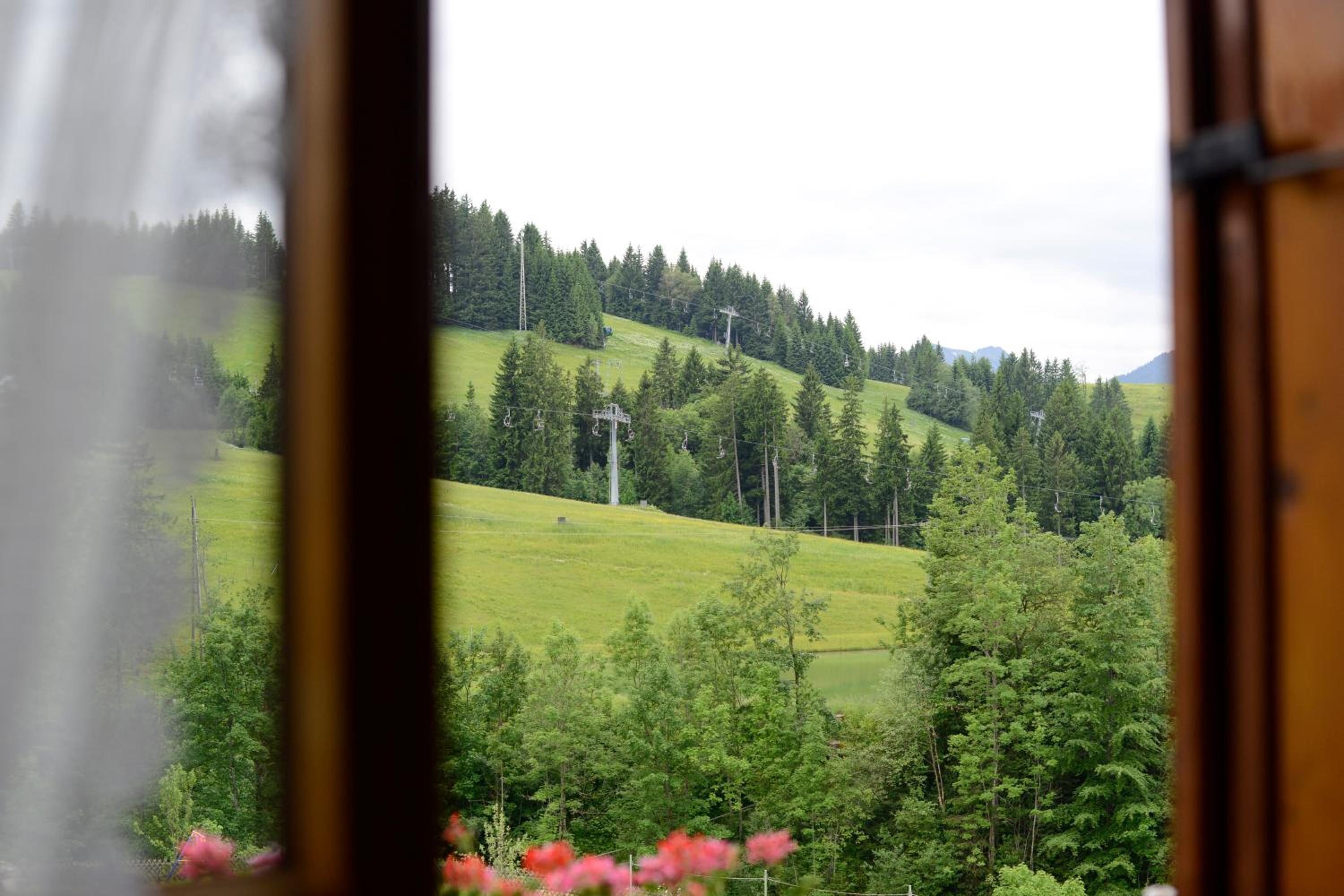 Photo 44