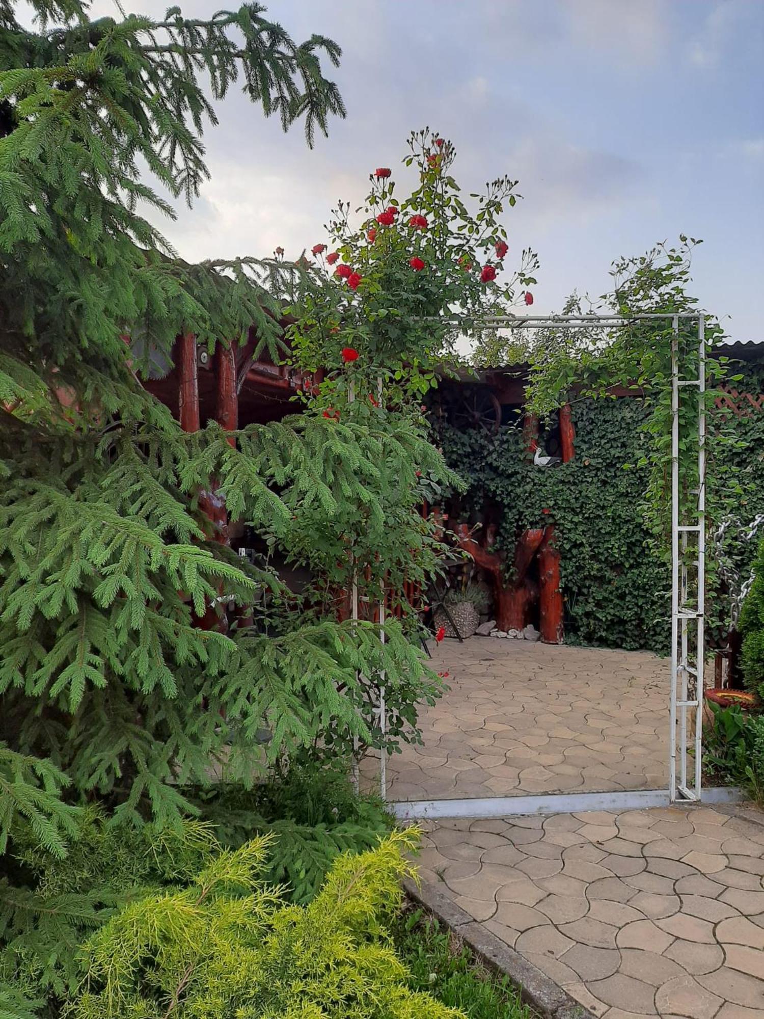 Casa Neagu