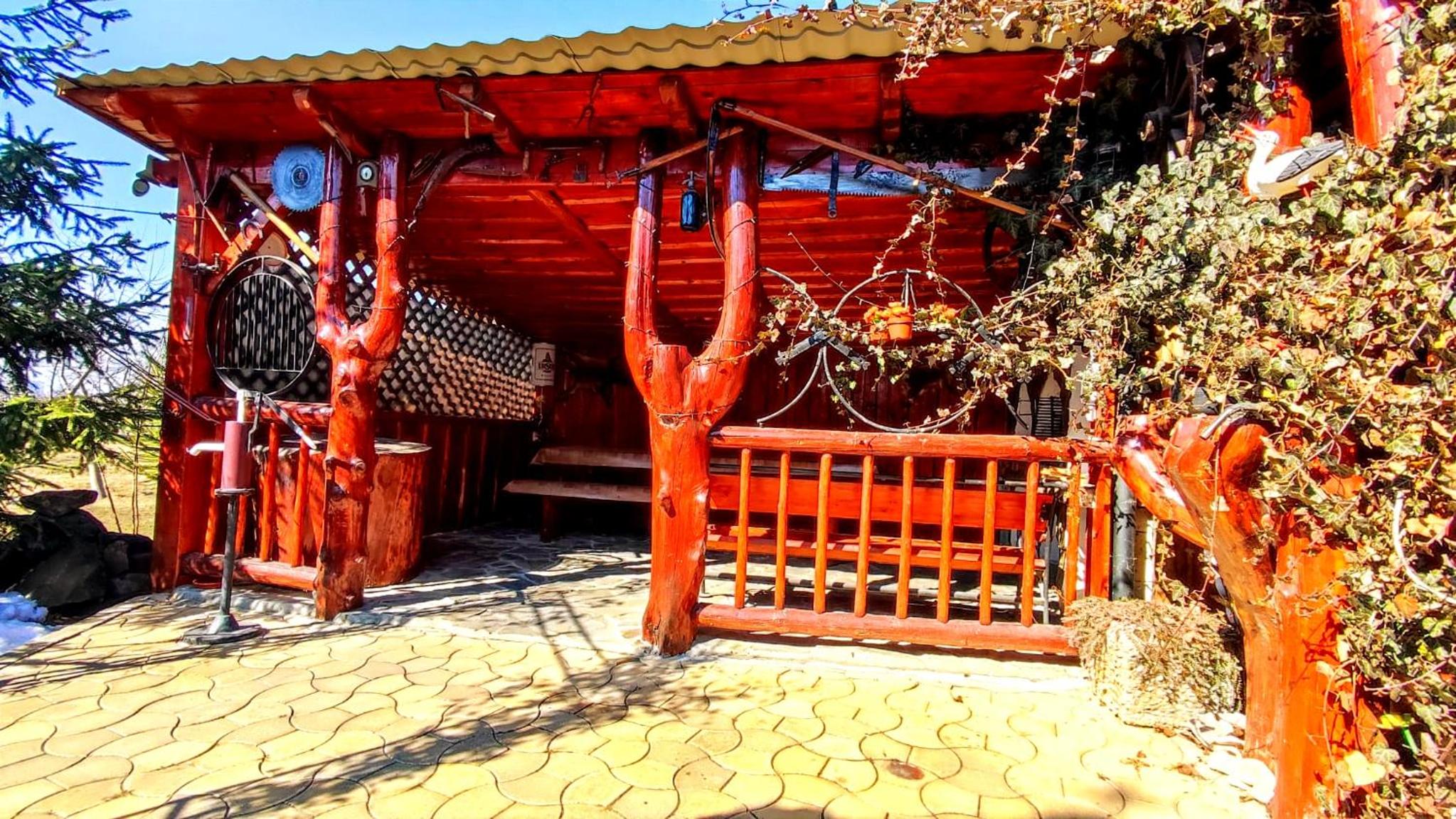 Casa Neagu