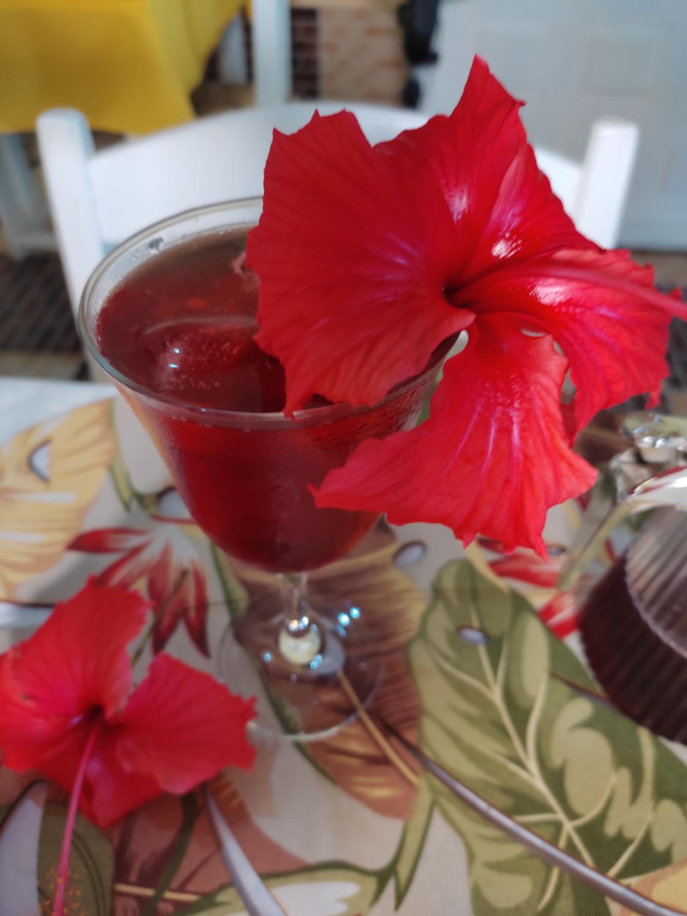 Pousada Hibisco