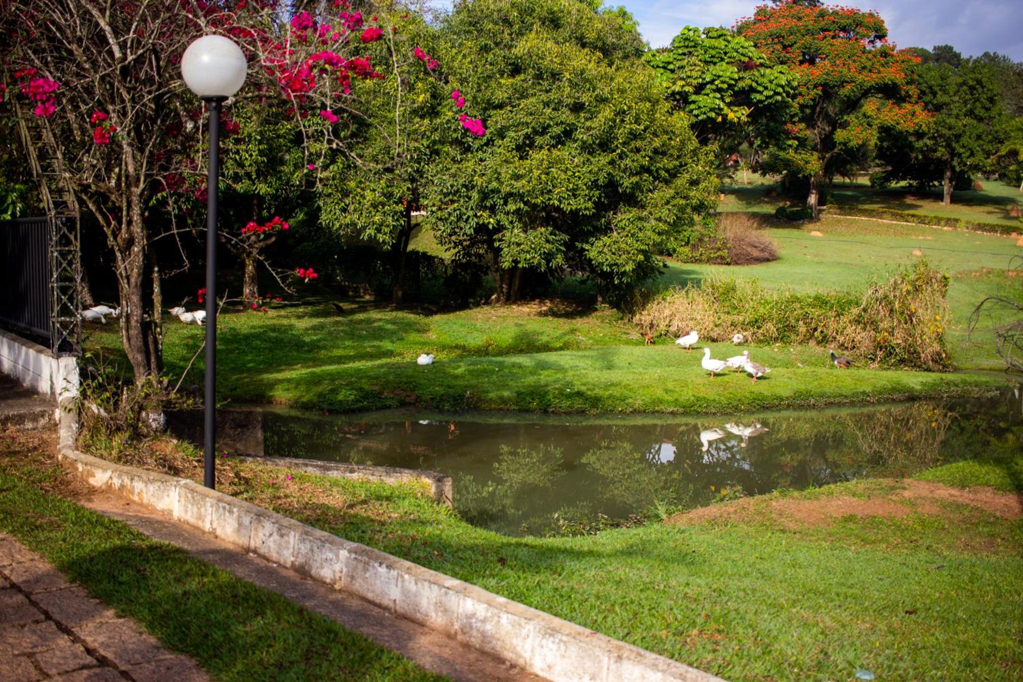 Polo Hotel Fazenda