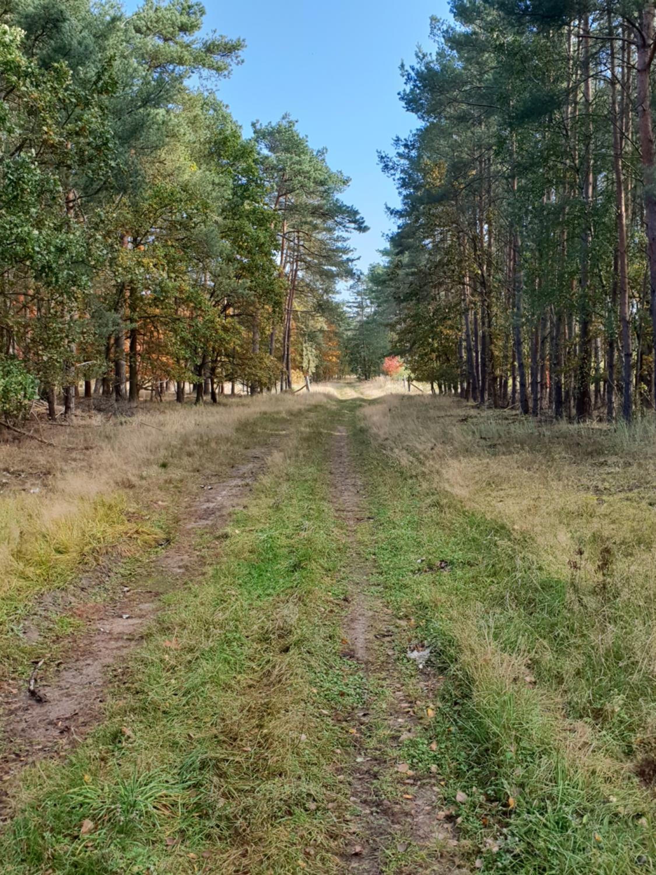 other