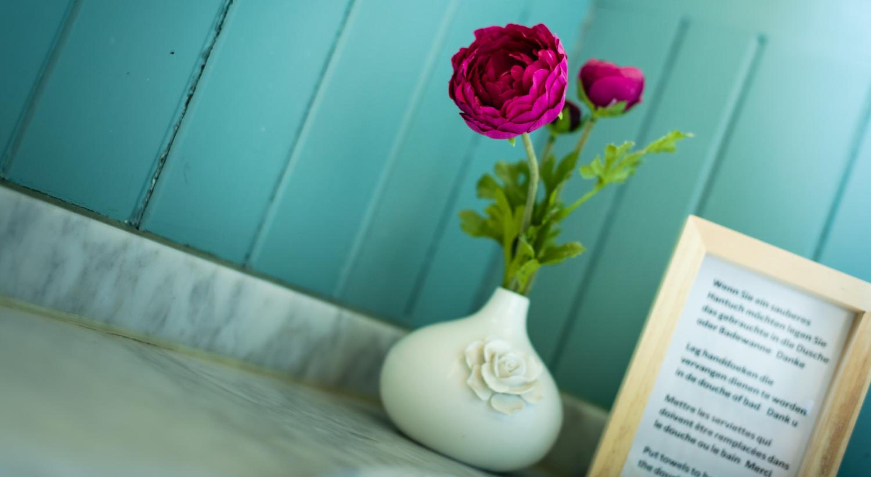 B&B Maison Rabelais