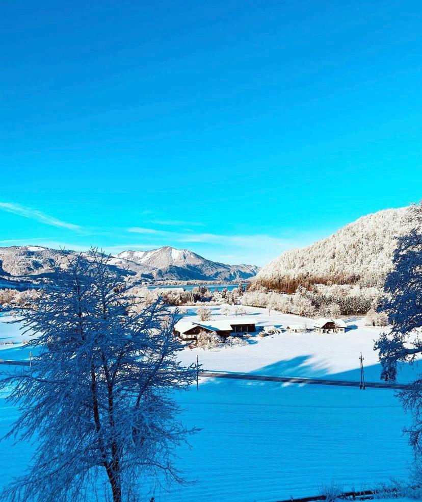 Wolfgangsee Seeblickplatzl 220 - mit tollem Seeblick! view 3