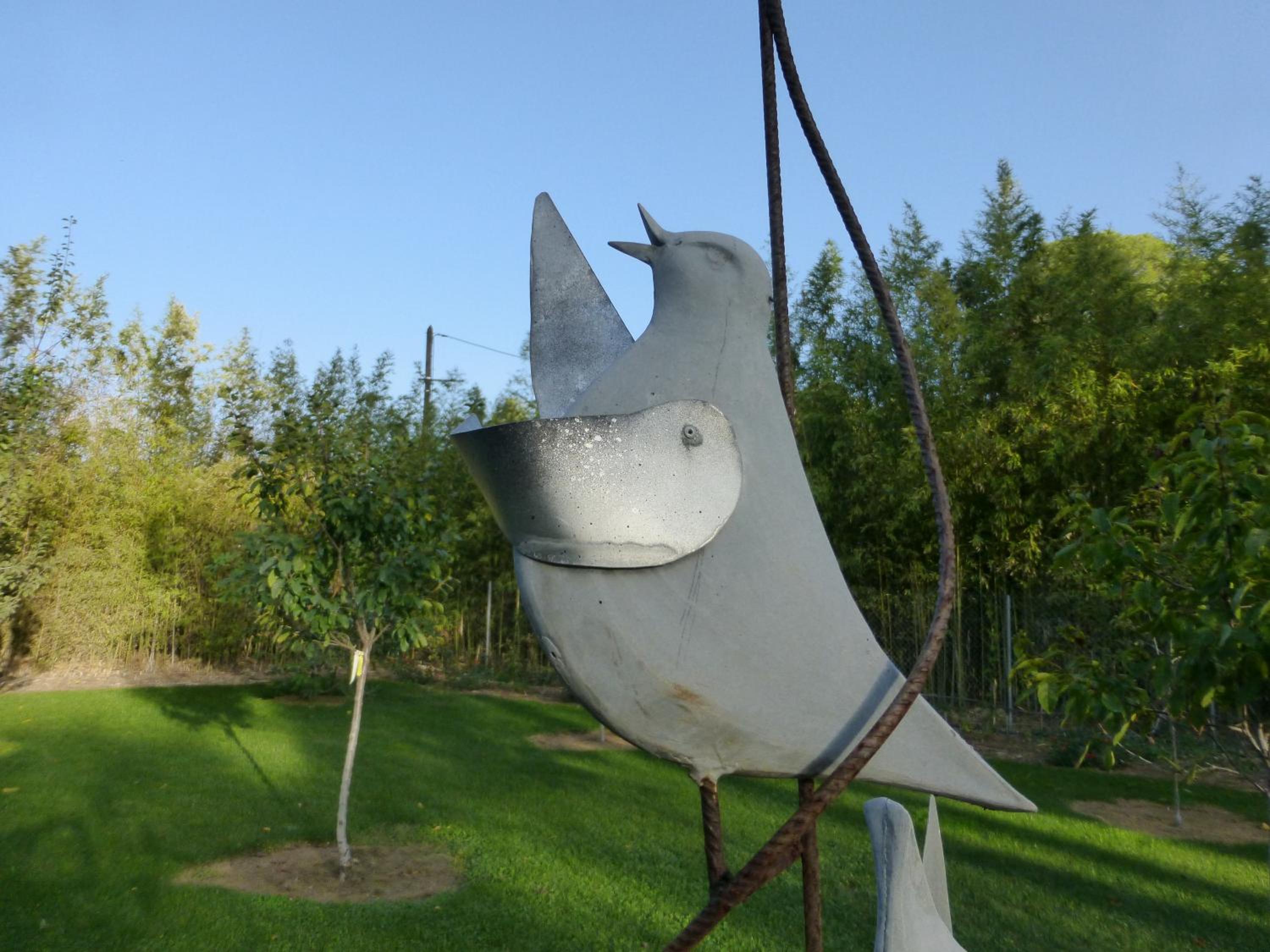 Photo 20