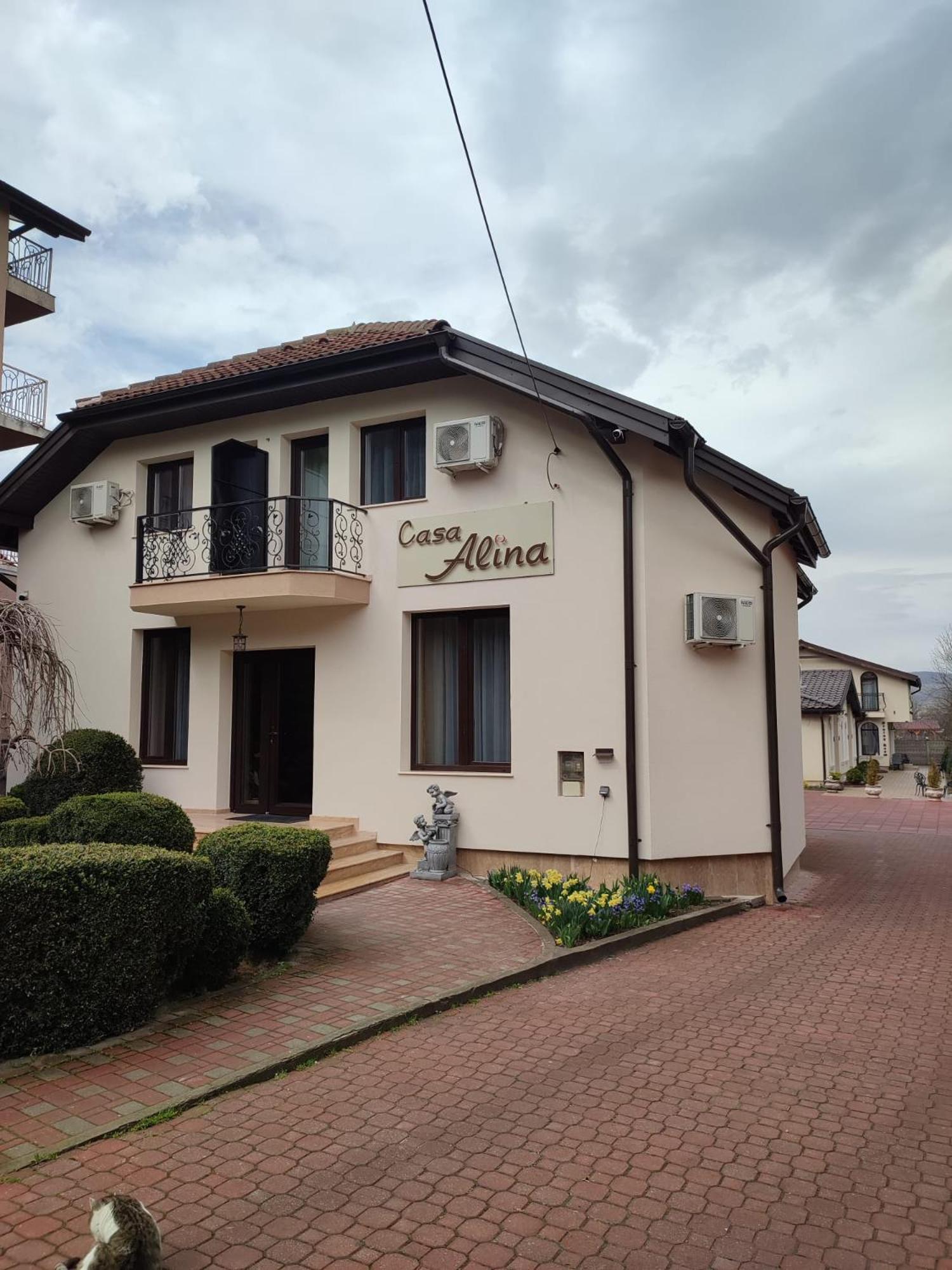 Casa Alina, photo 40