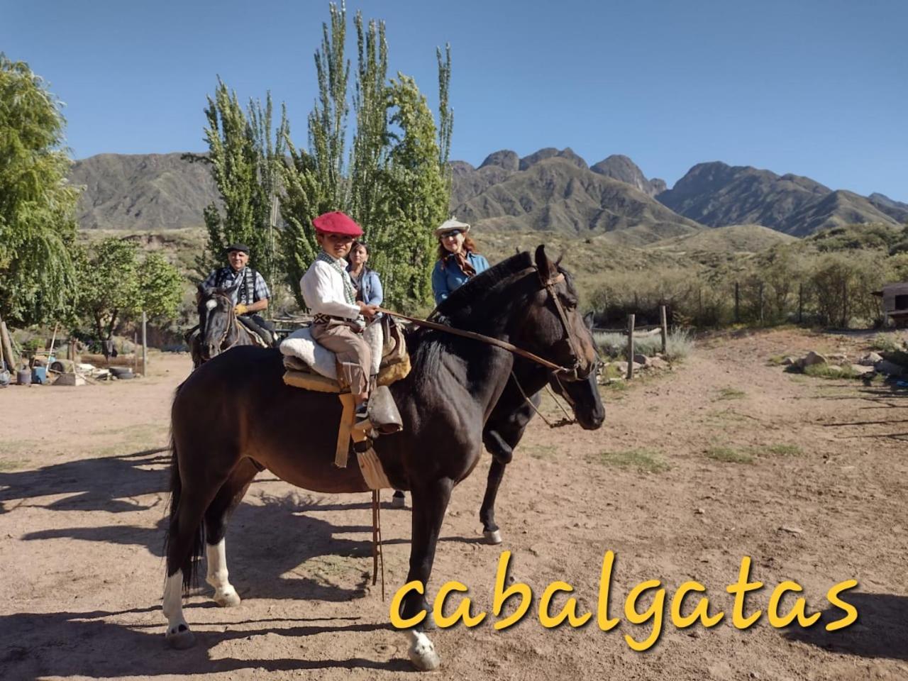 Cabaña Pica Piedra