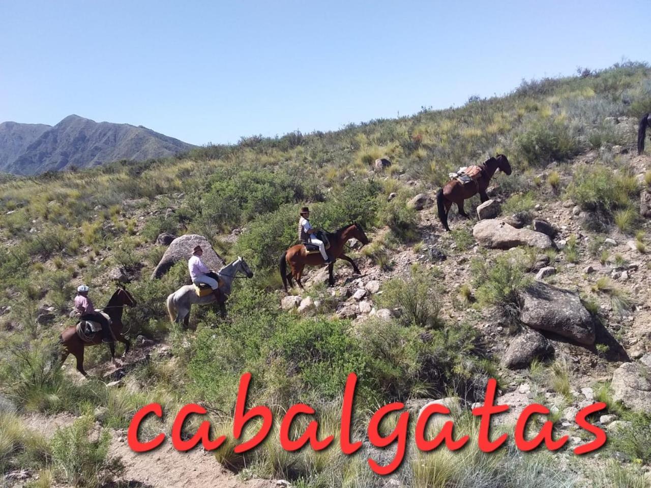 Cabaña Pica Piedra