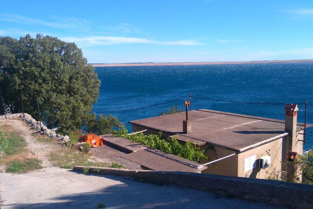 Apartment Lisarica